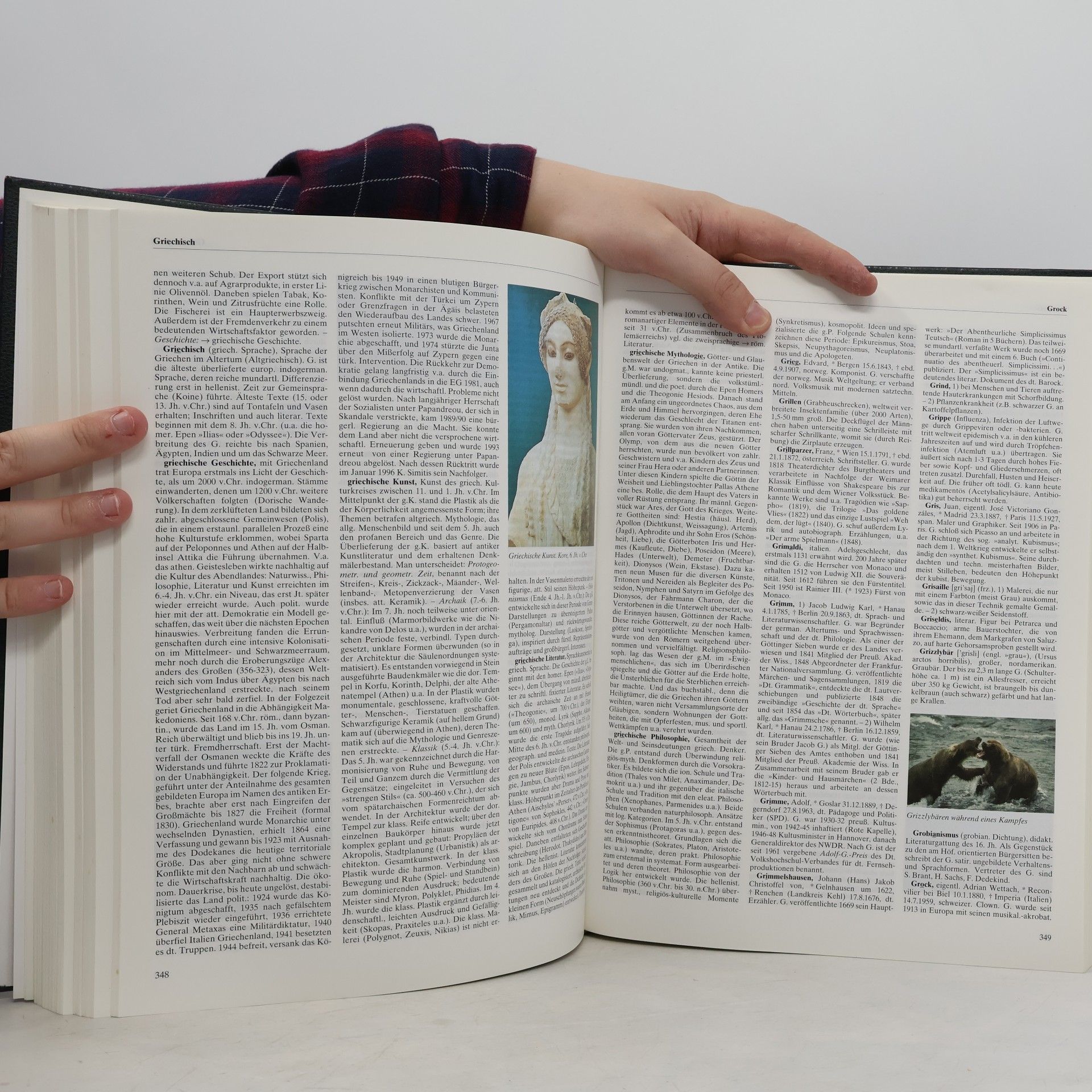 Autorenkollektiv Großes Lexikon A-Z