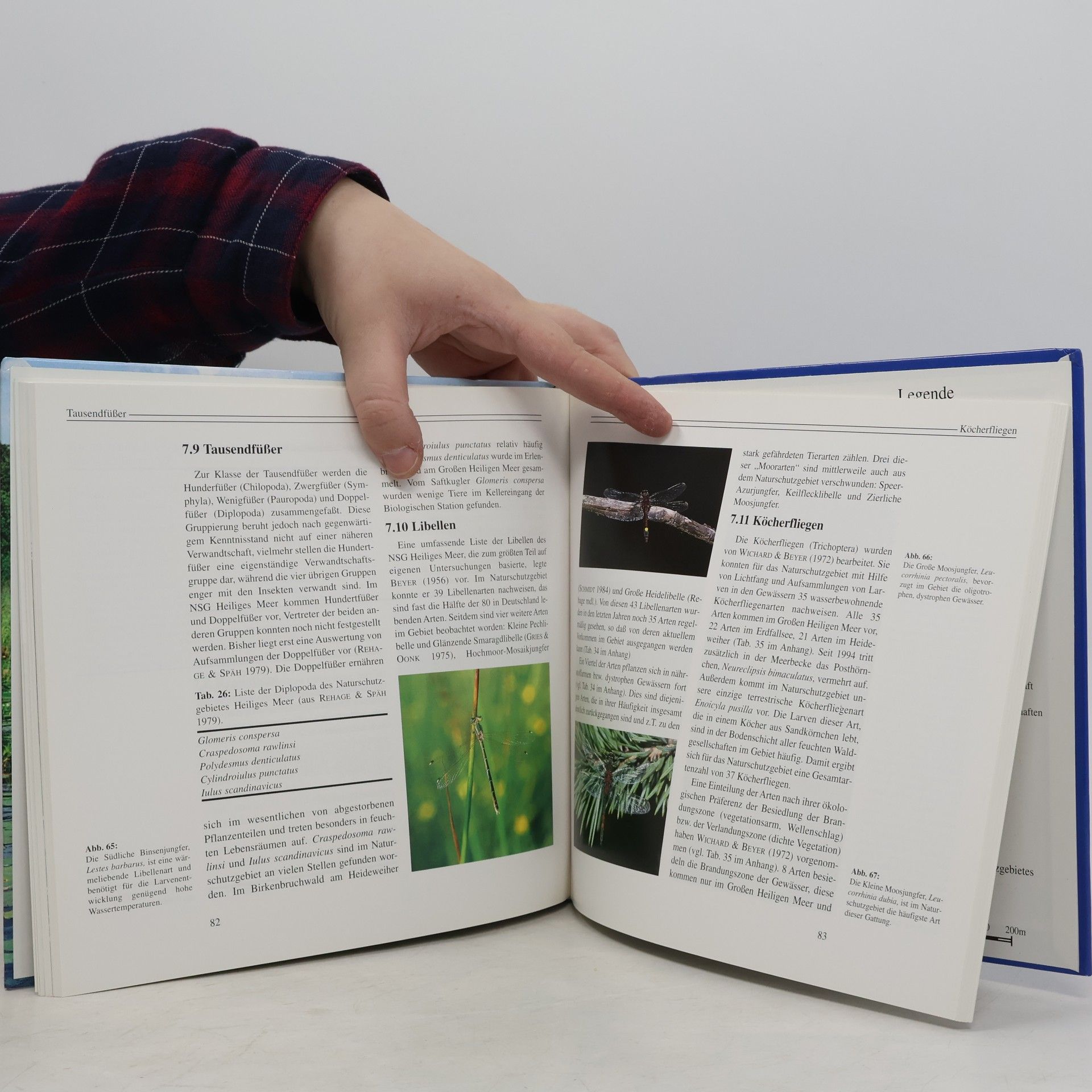 Heinrich Terlutter Das Naturschutzgebiet Heiliges Meer