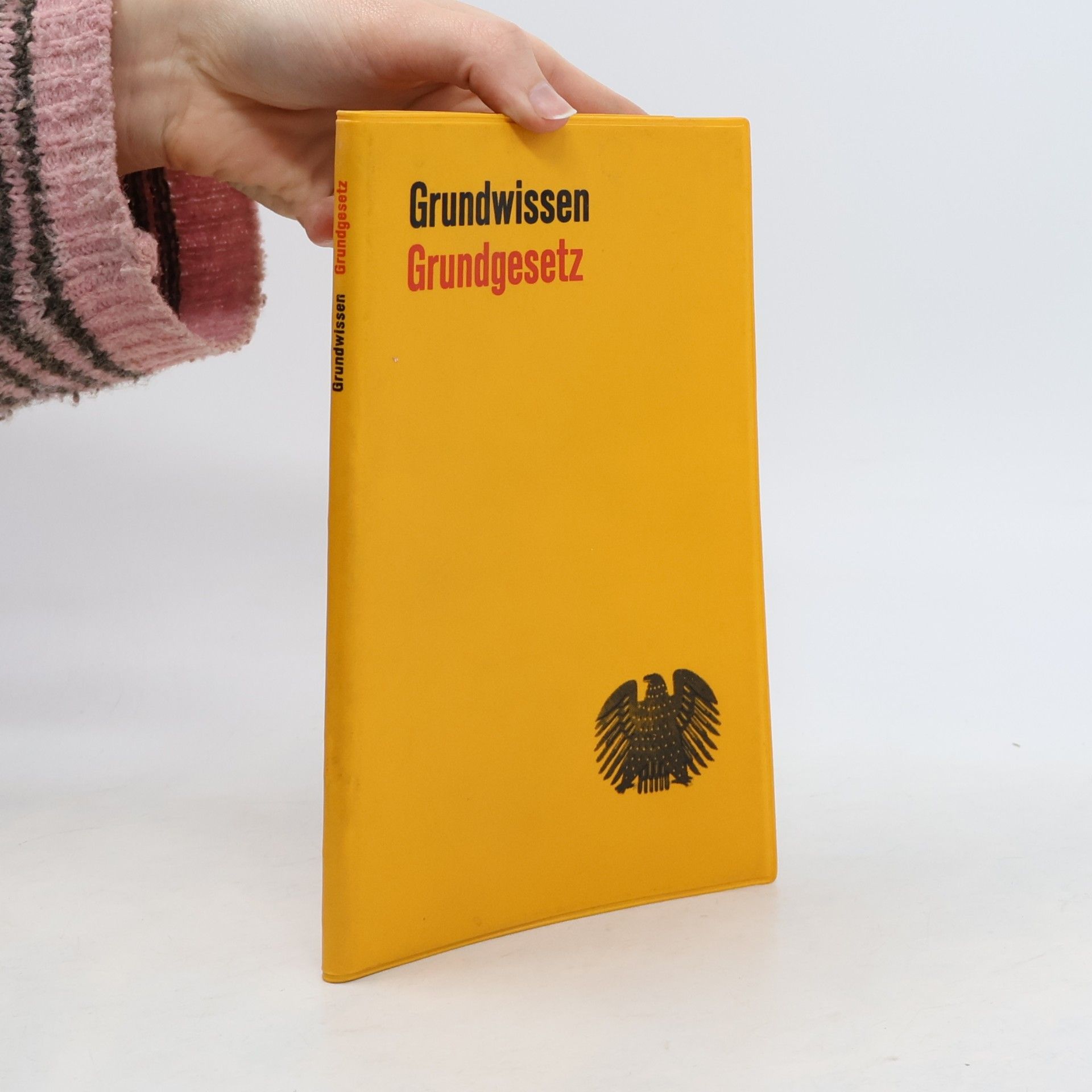 Gerhart Binder Grundwissen Grundgesetz