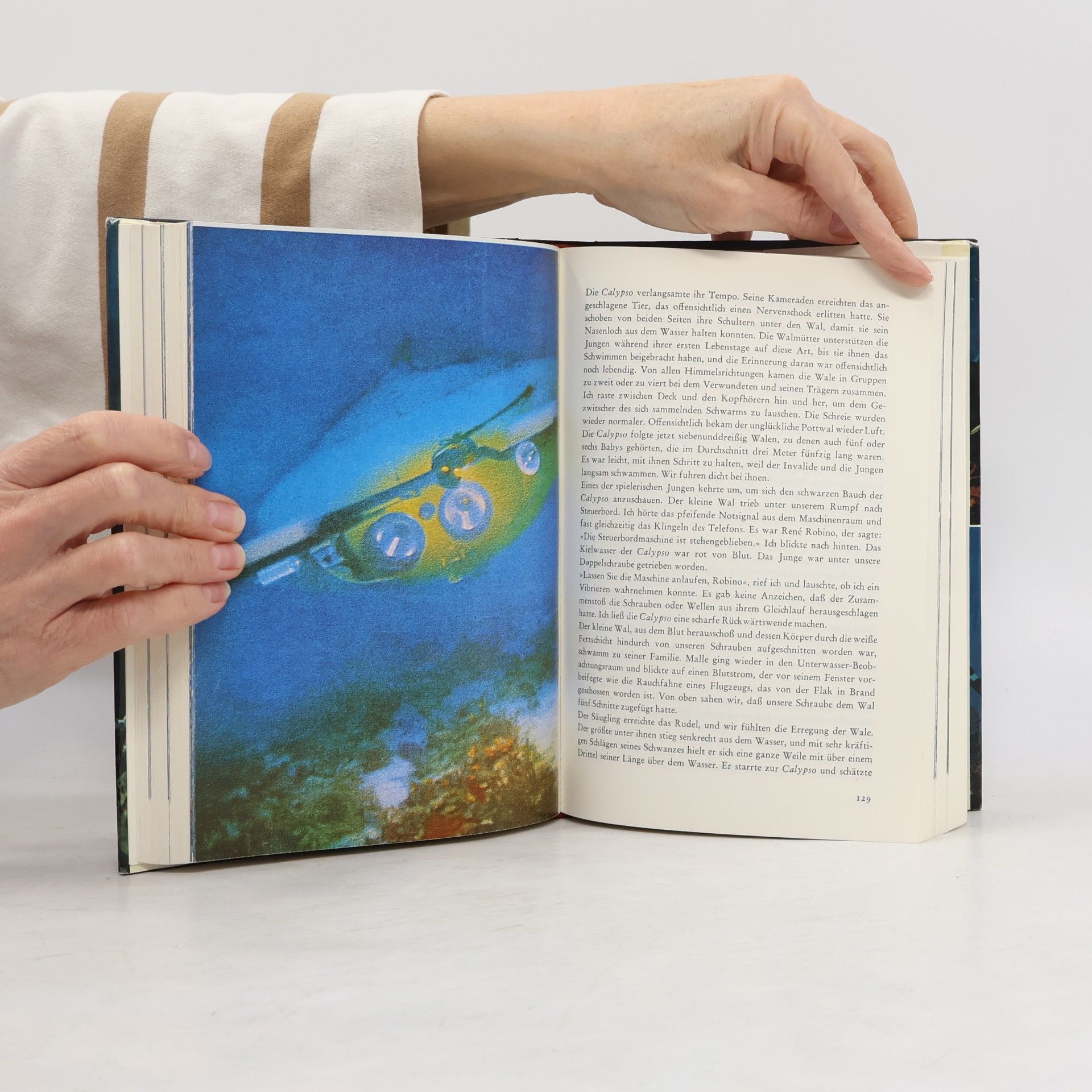 Jacques Yves Cousteau Das lebende Meer