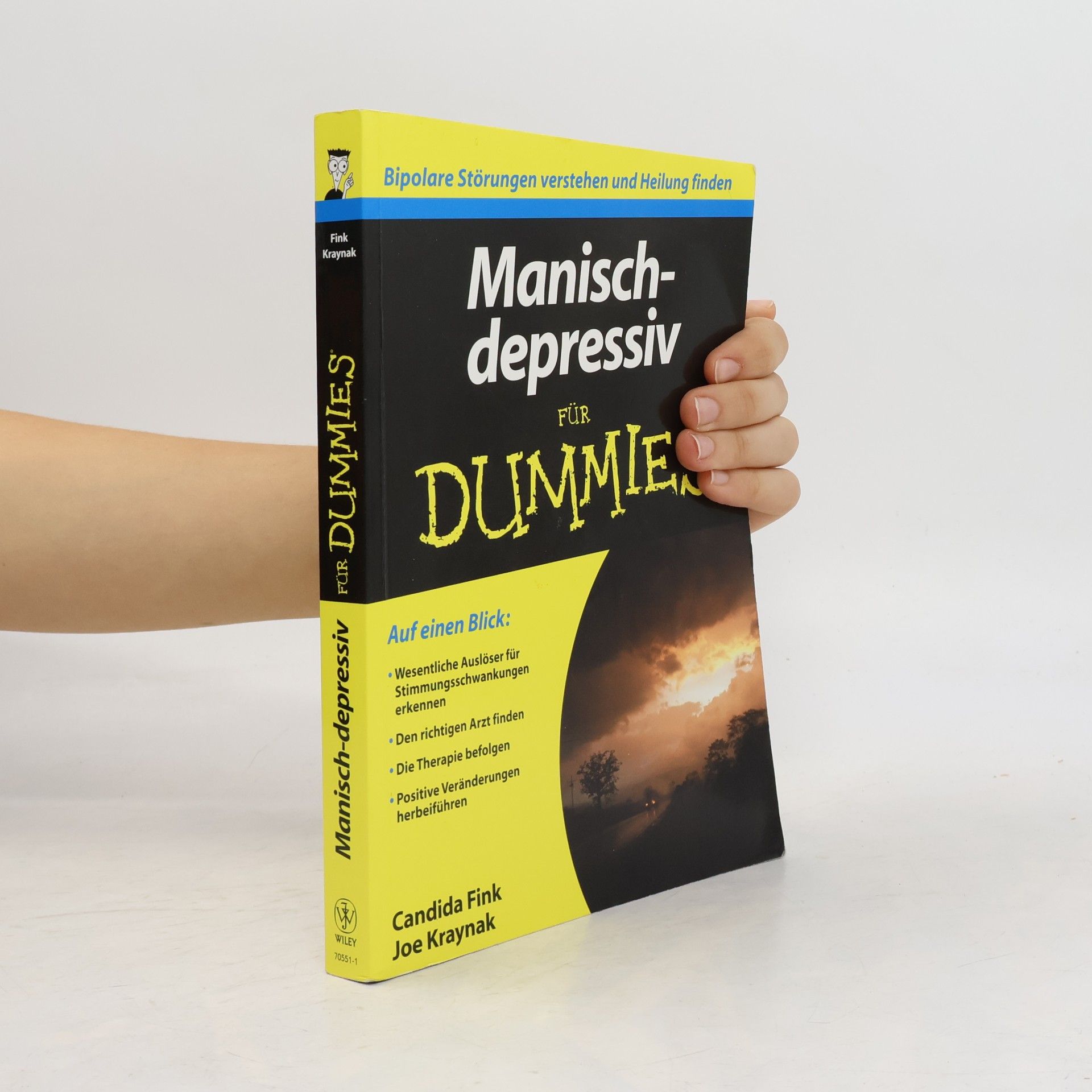 Hartmut Strahl Manisch-depressiv für Dummies