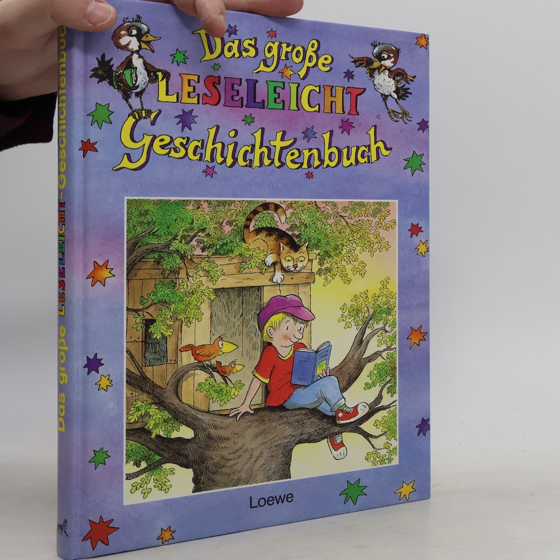 Autorenkollektiv Das grosse Leseleicht-Geschichtenbuch