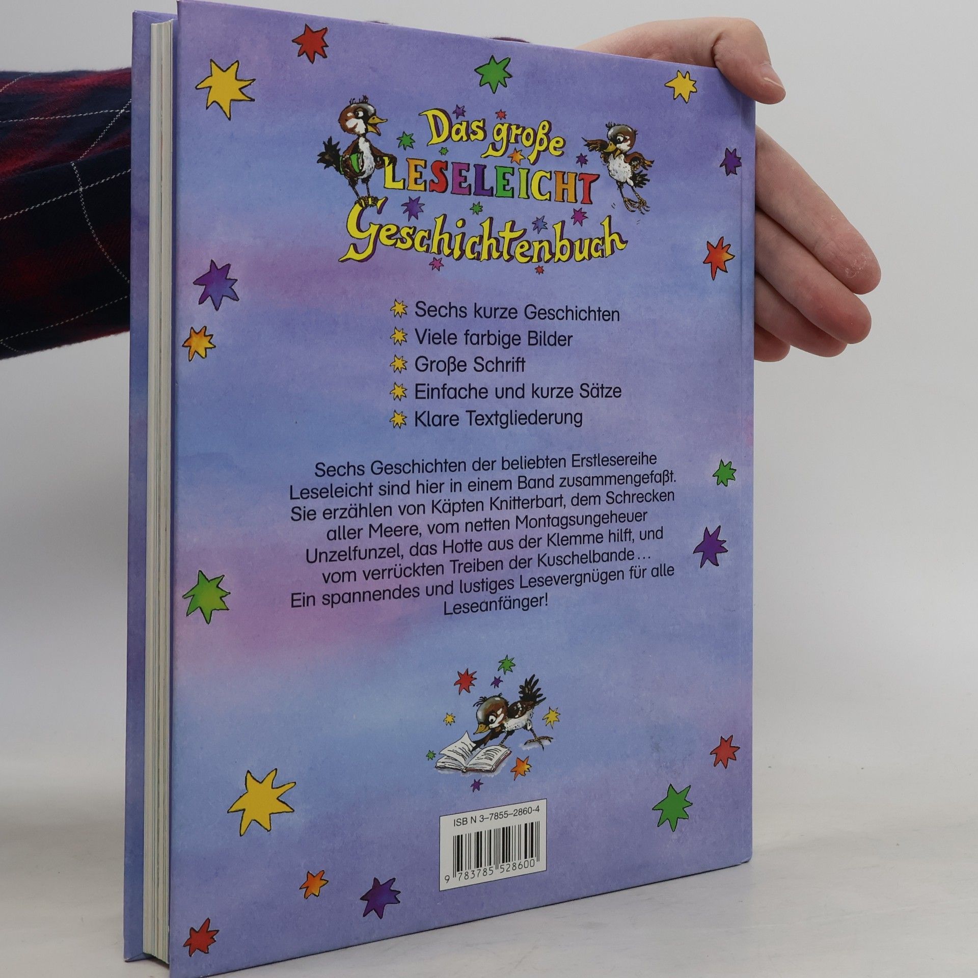 Kolektiv autorů Das grosse Leseleicht-Geschichtenbuch