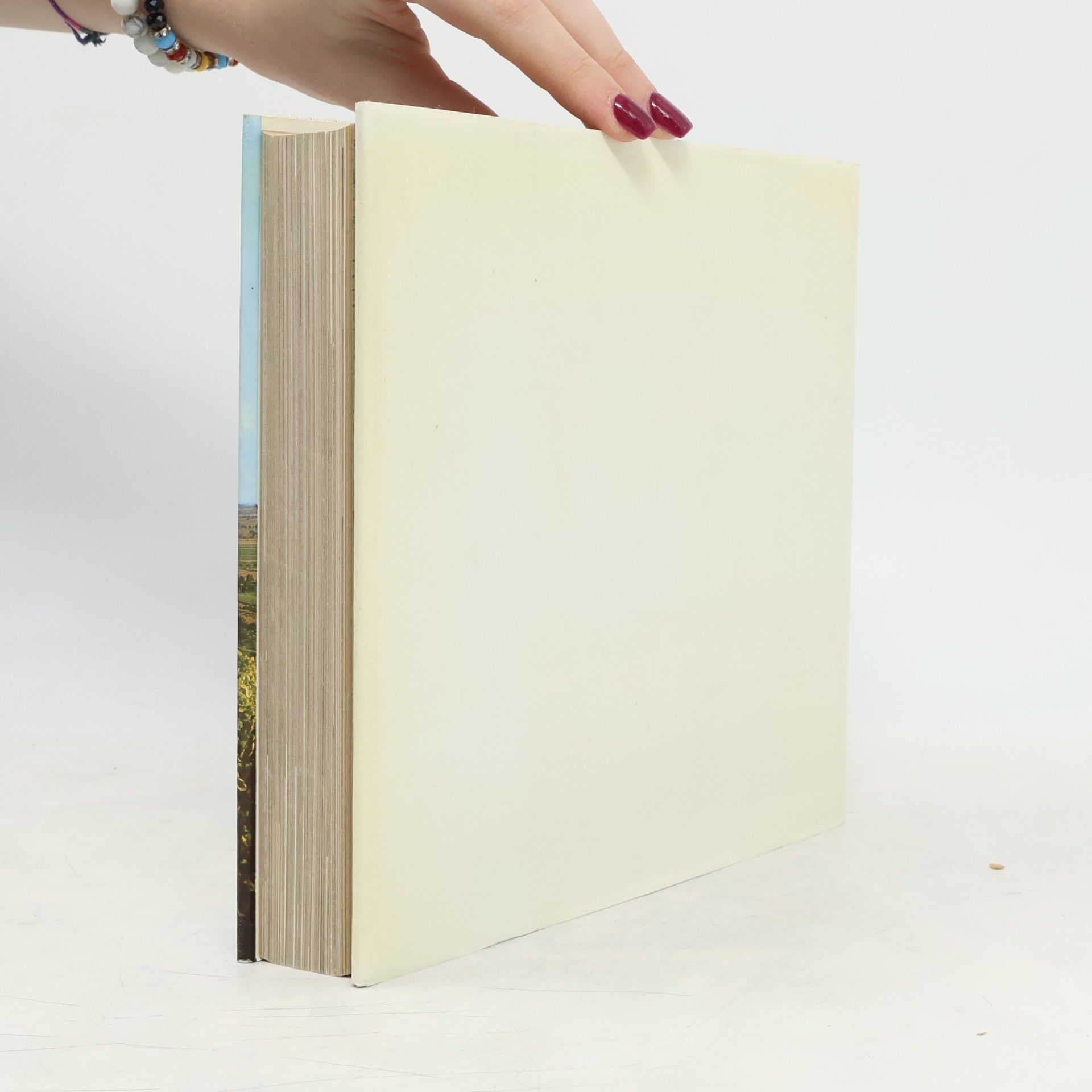 Autores varios Oberrheinisches Mosaik. Der südlicher Teil.