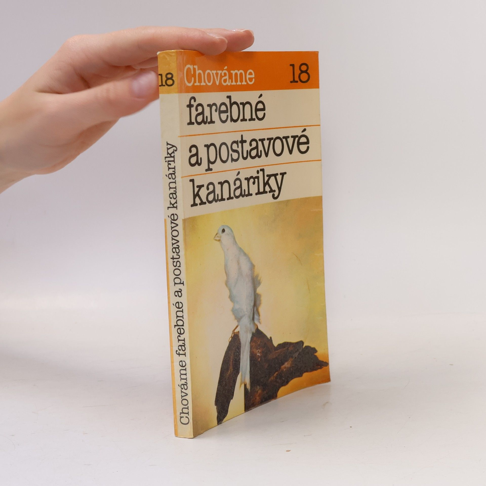 Chováme 18. farebné a postavové kanáriky