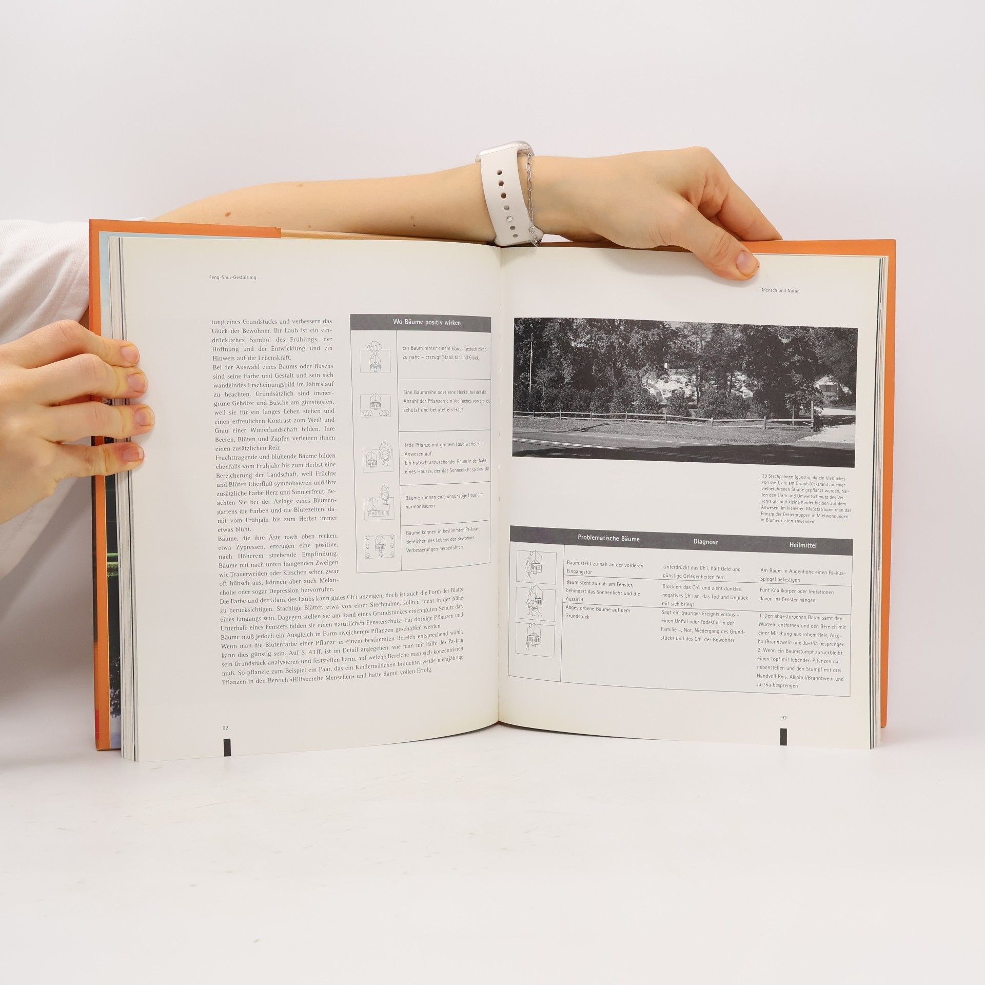 Sarah Rossbach Feng-Shui-Gestaltung