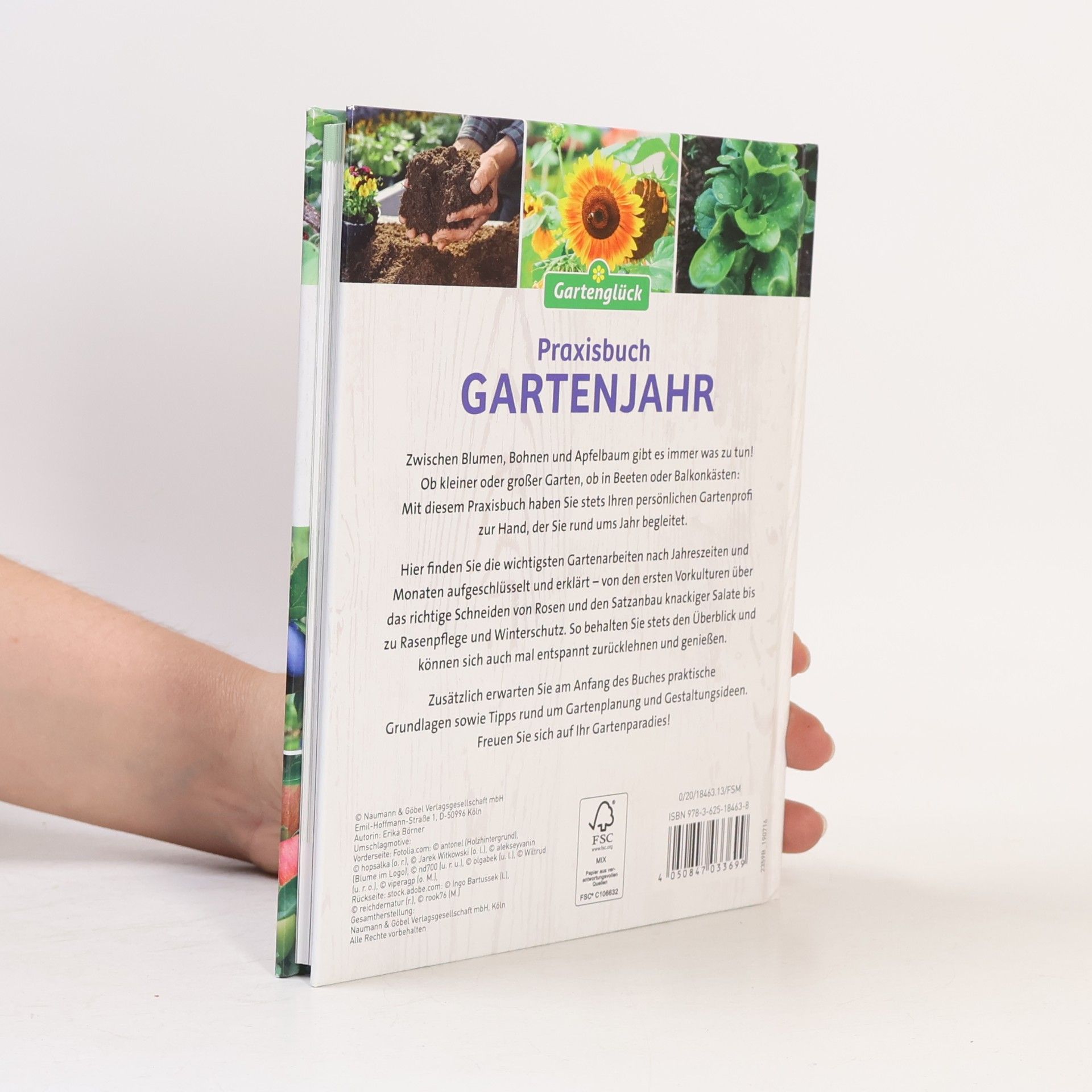 Kolektiv autorů Praxisbuch Gartenjahr