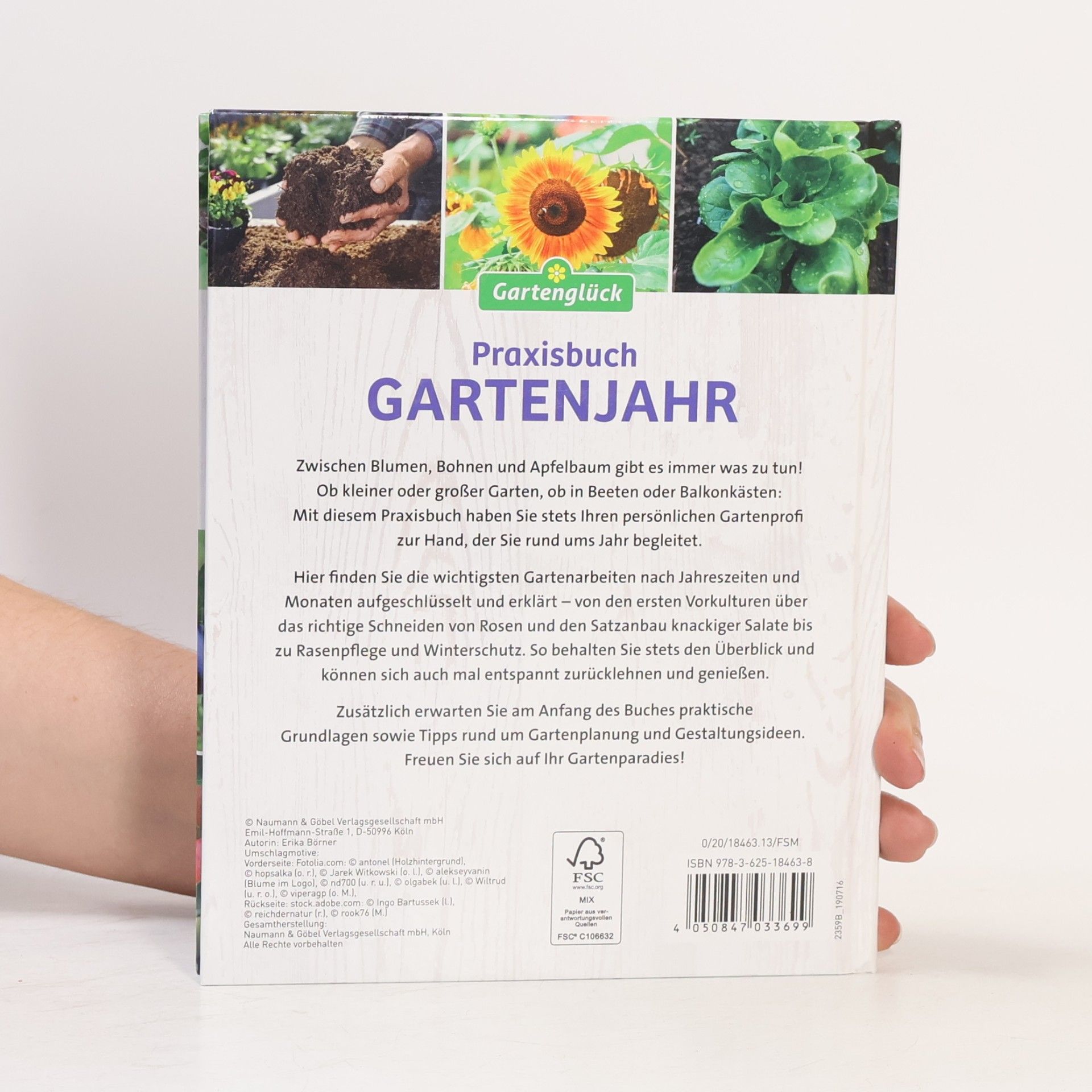 Kolektiv autorů Praxisbuch Gartenjahr