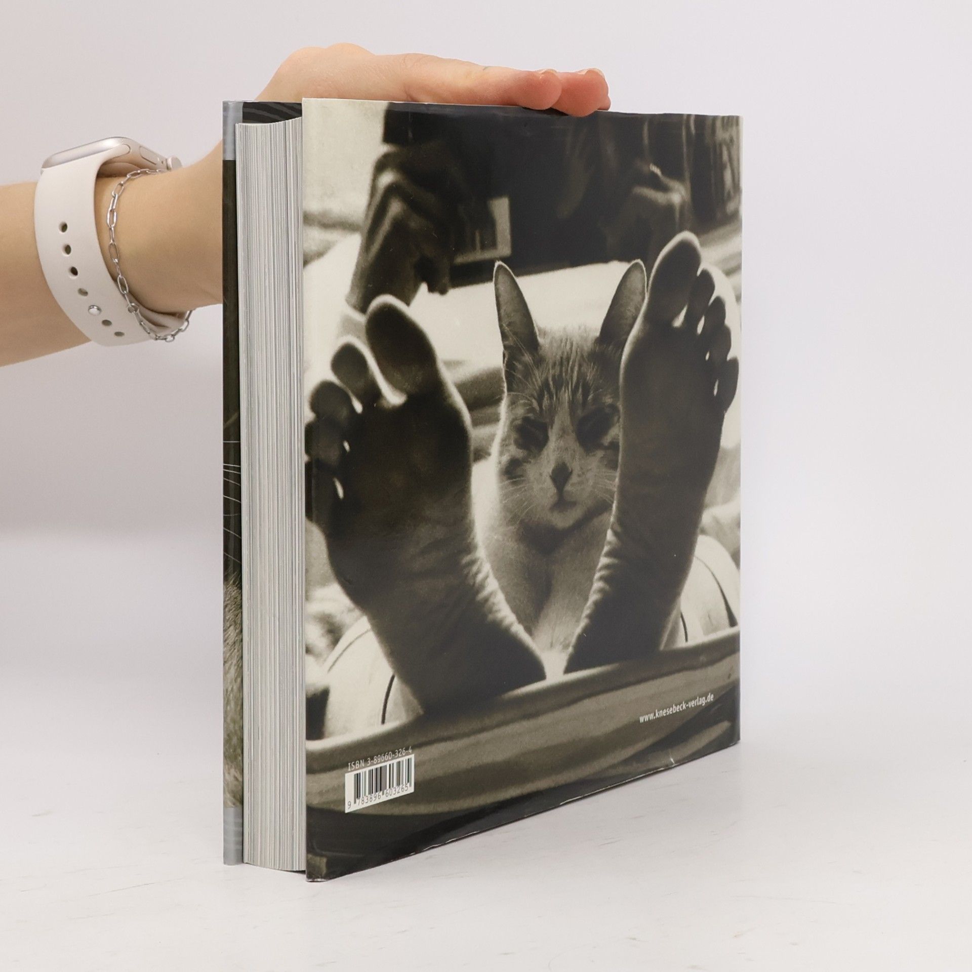 Jean-Claude Suarès Das Katzen-Buch