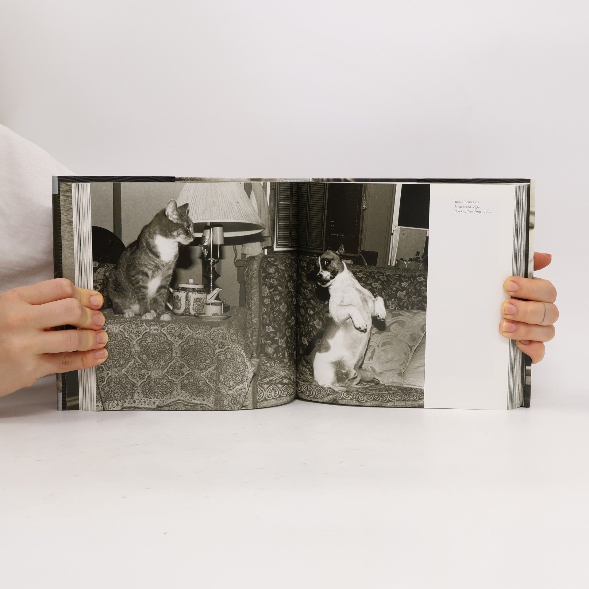 Jean-Claude Suarès Das Katzen-Buch