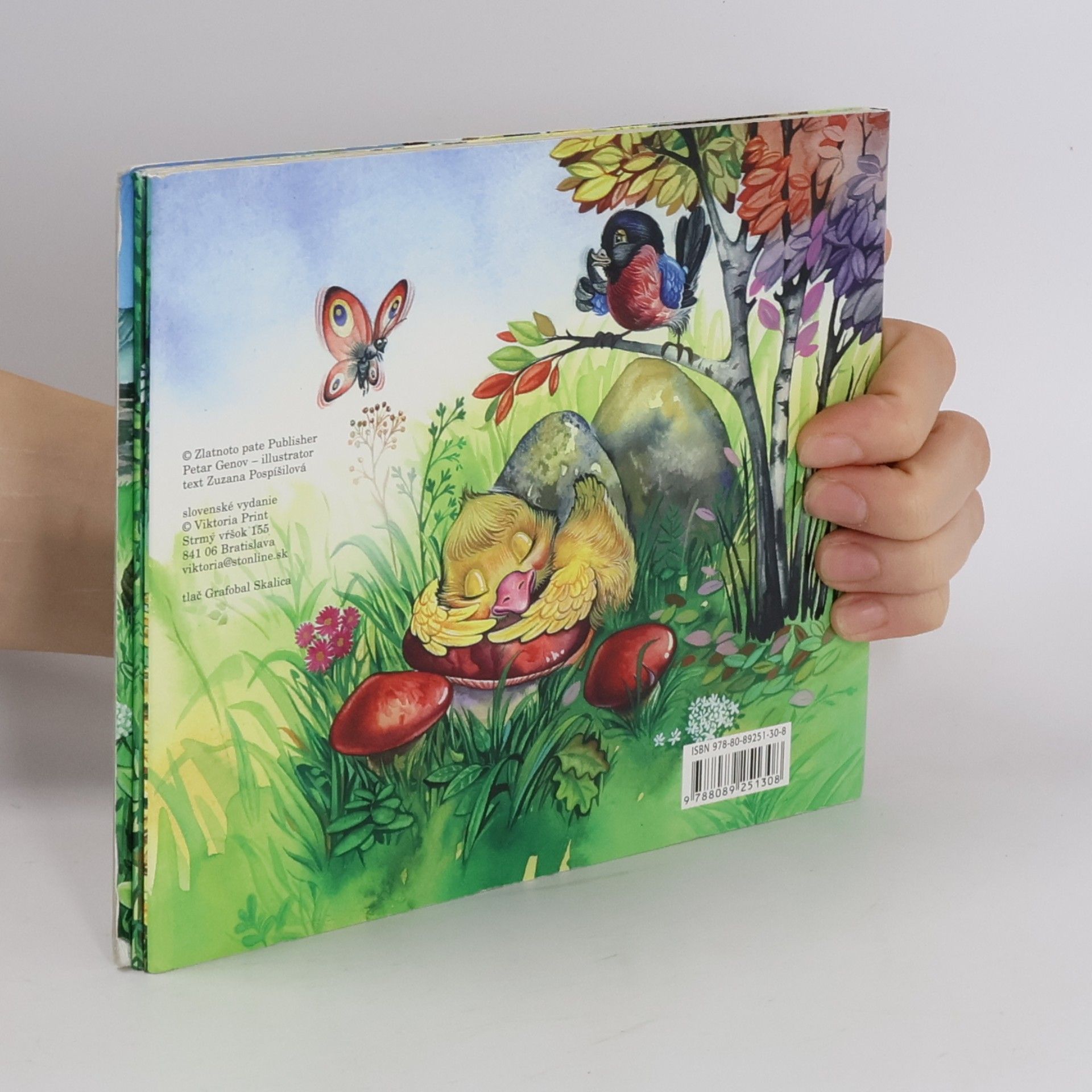 Autorenkollektiv Hádanky z lesa a louky