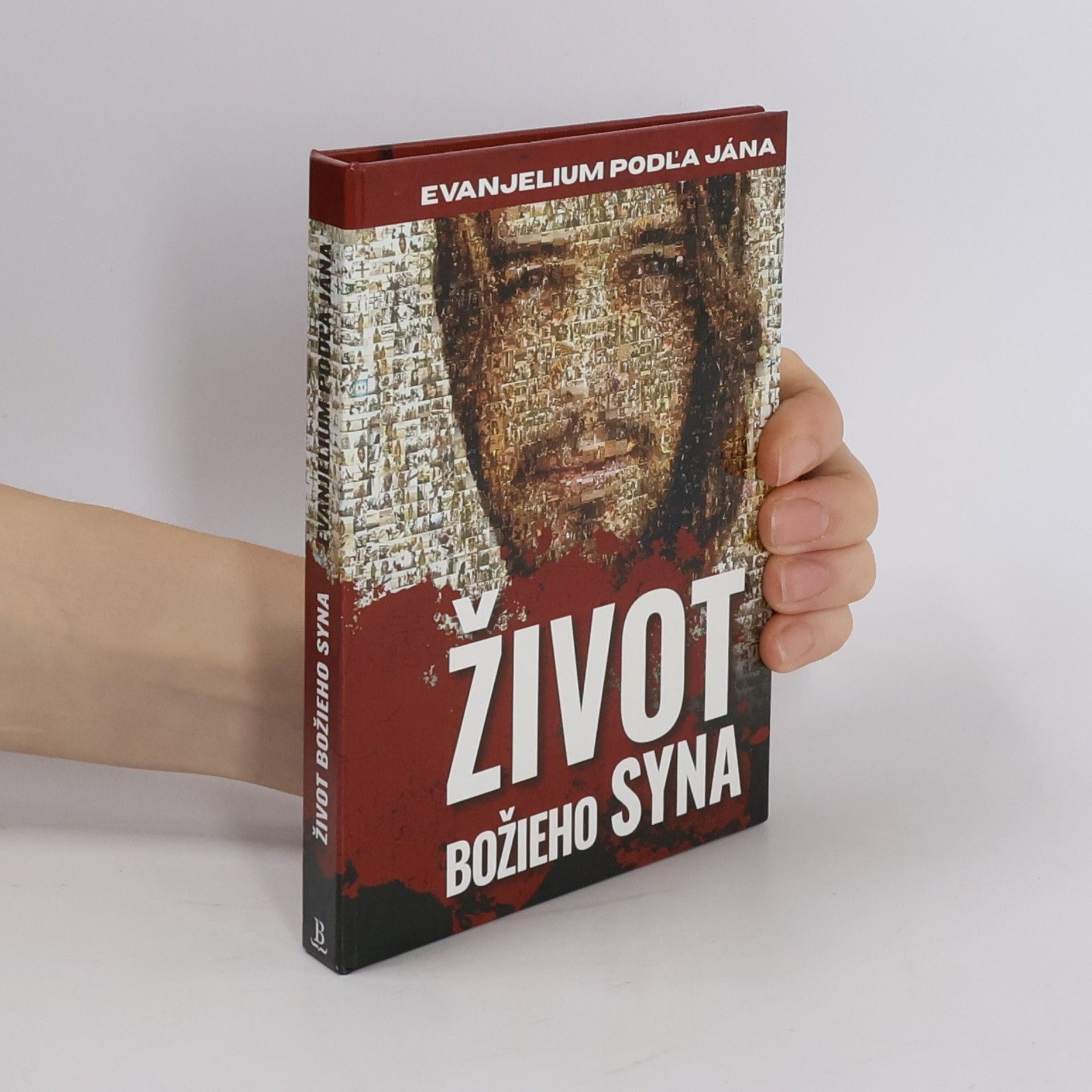 Kolektív autorov Život božieho syna. Evanjelium podľa Jána
