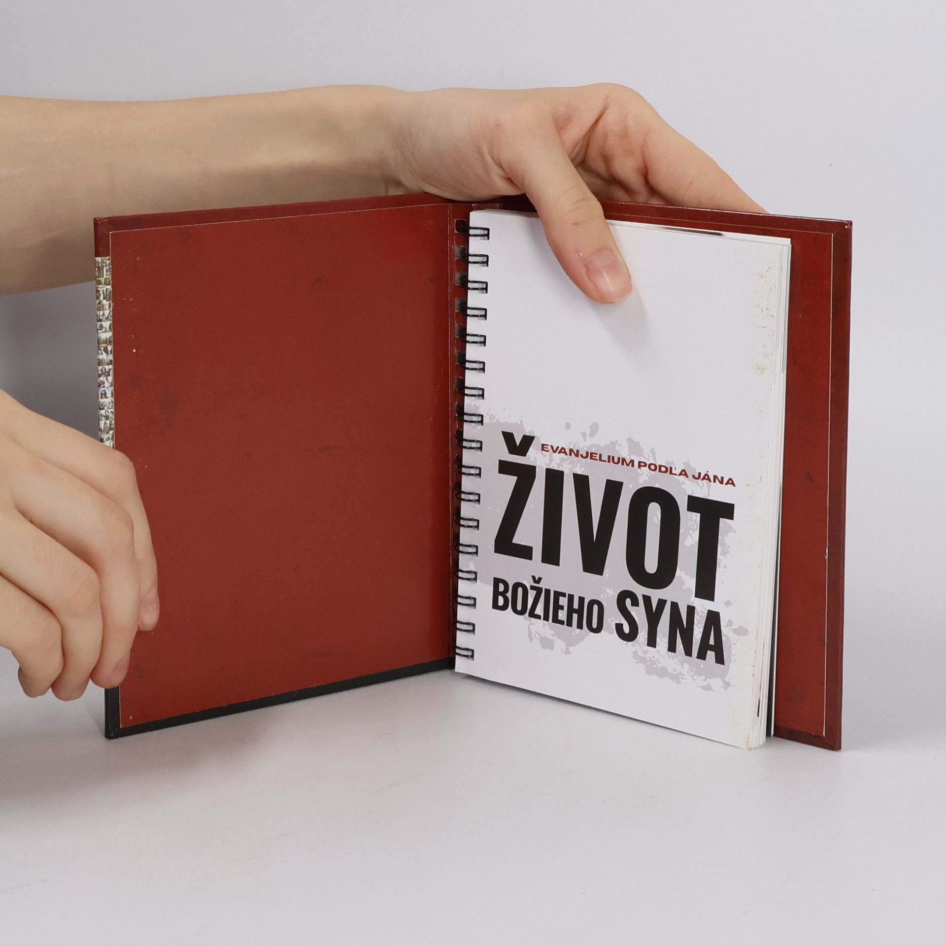 Autorenkollektiv Život božieho syna. Evanjelium podľa Jána