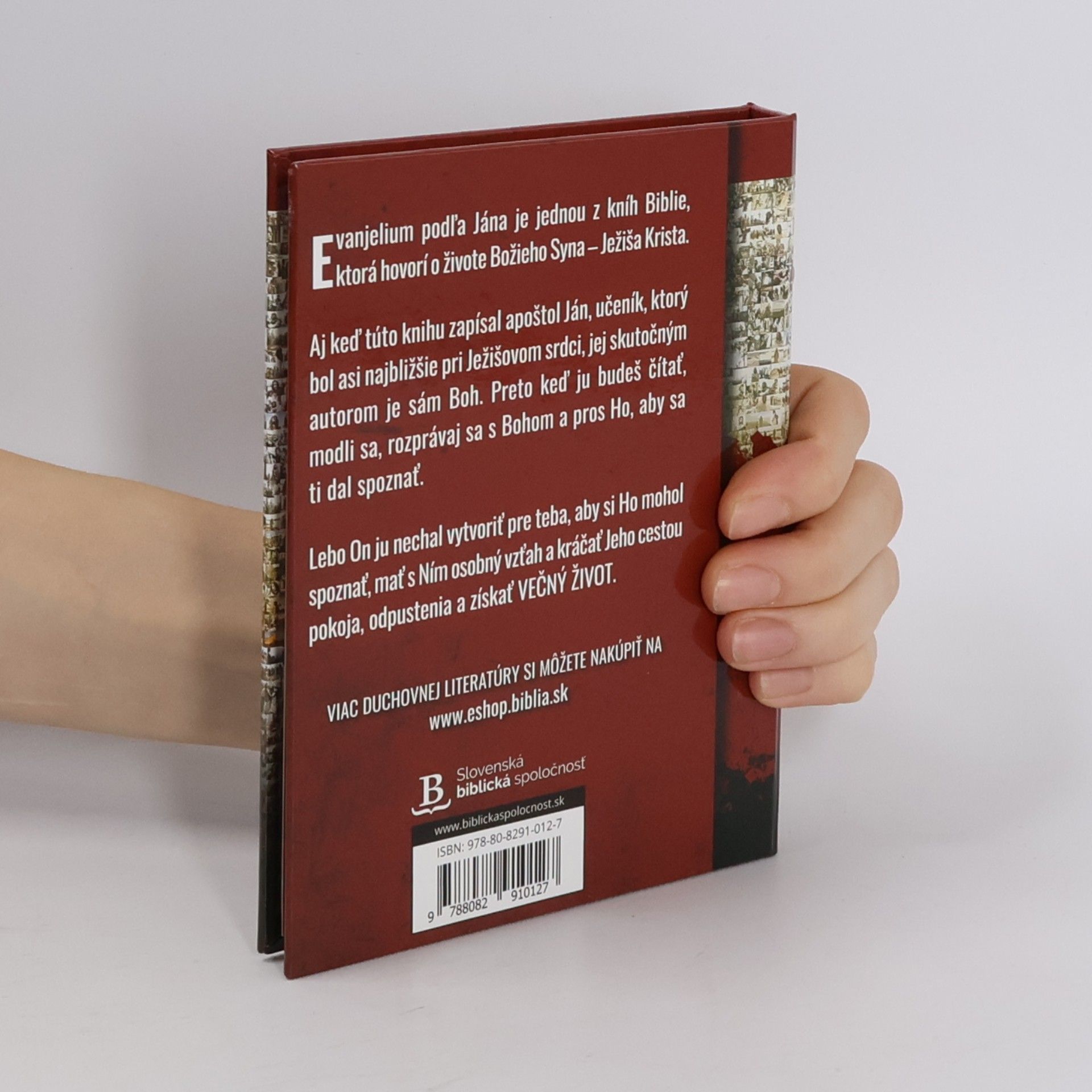 Autorenkollektiv Život božieho syna. Evanjelium podľa Jána