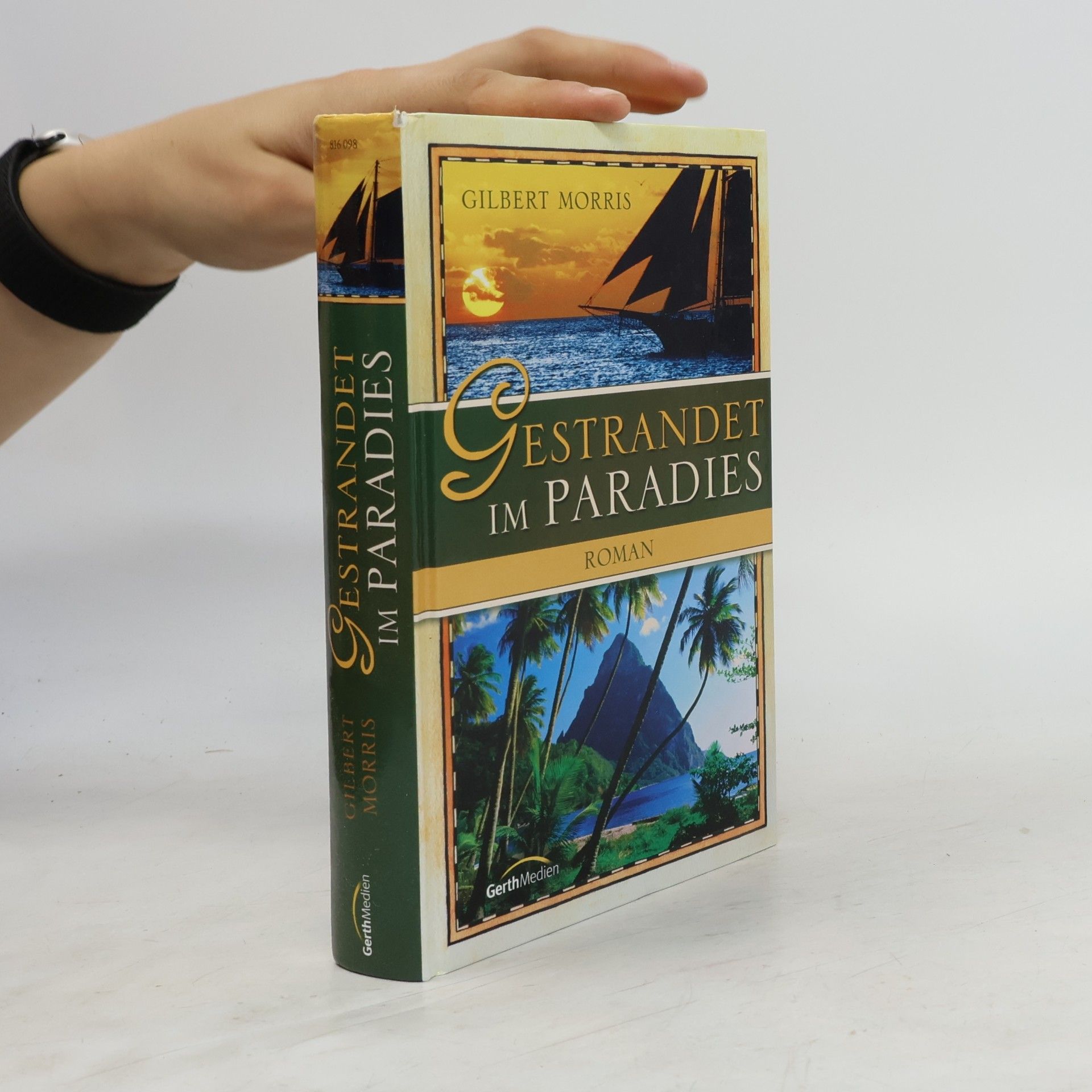 Brigitte Hahn Gestrandet im Paradies. Roman