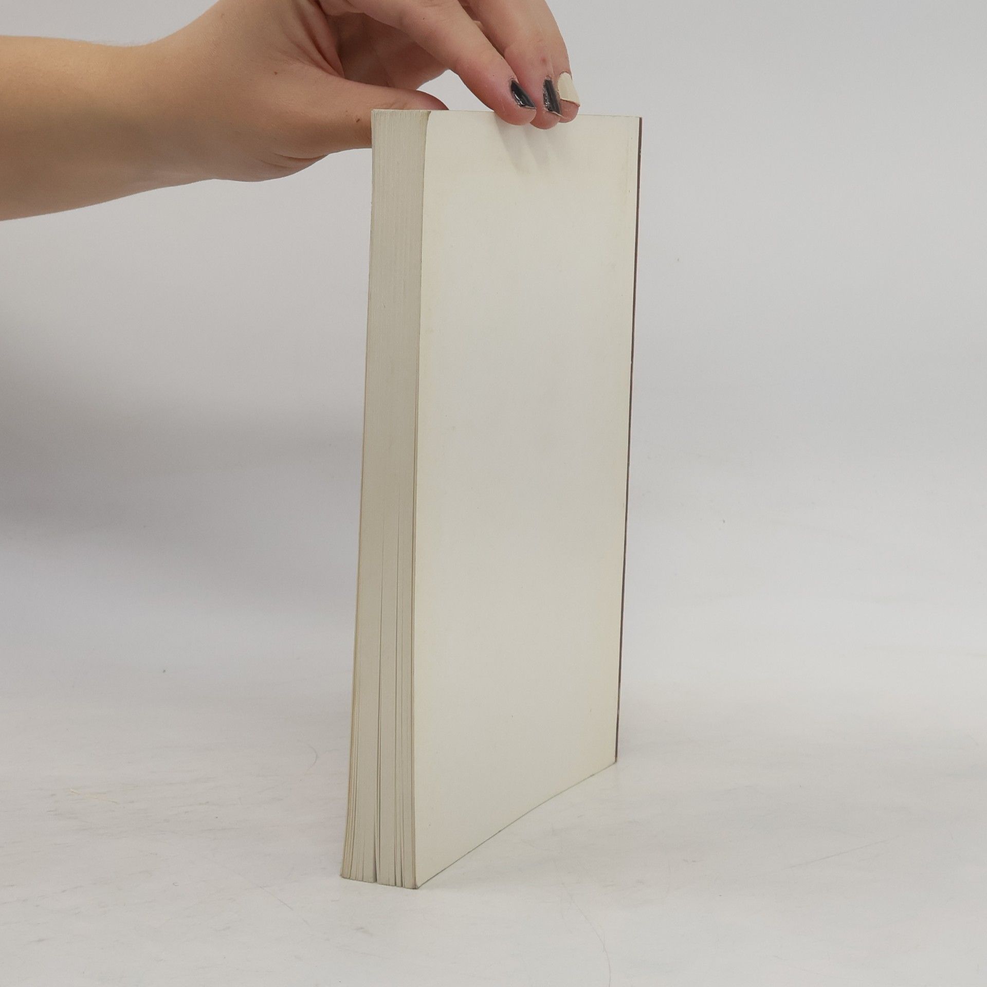 Autorenkollektiv Catalogue Descriptif. Maitres Anciens