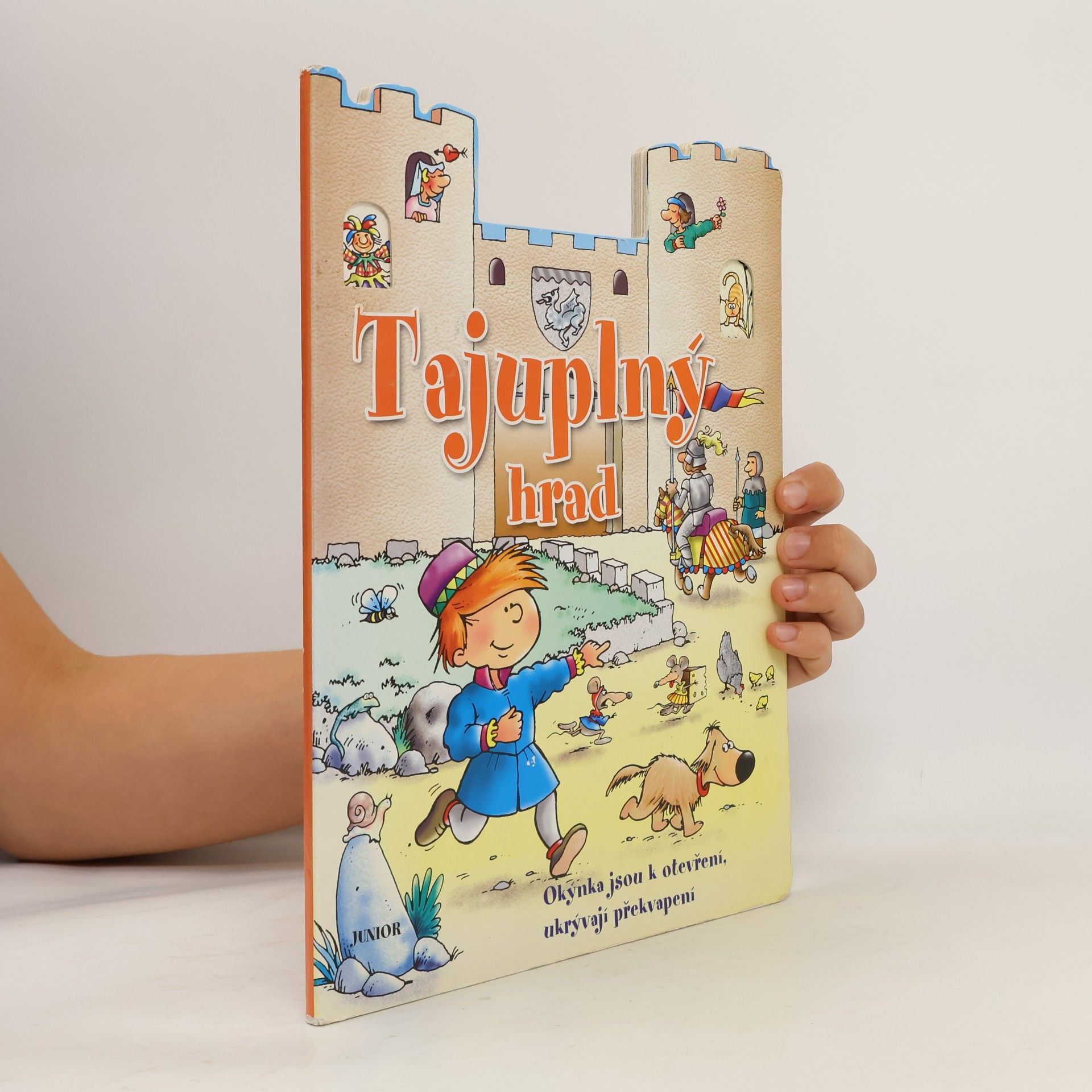 Zuzana Pospíšilová Tajuplný hrad