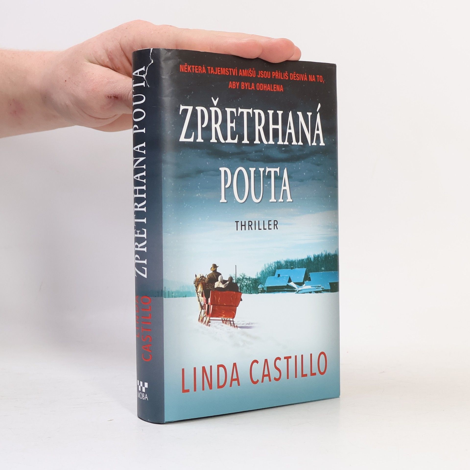 Linda Castillo Zpřetrhaná pouta