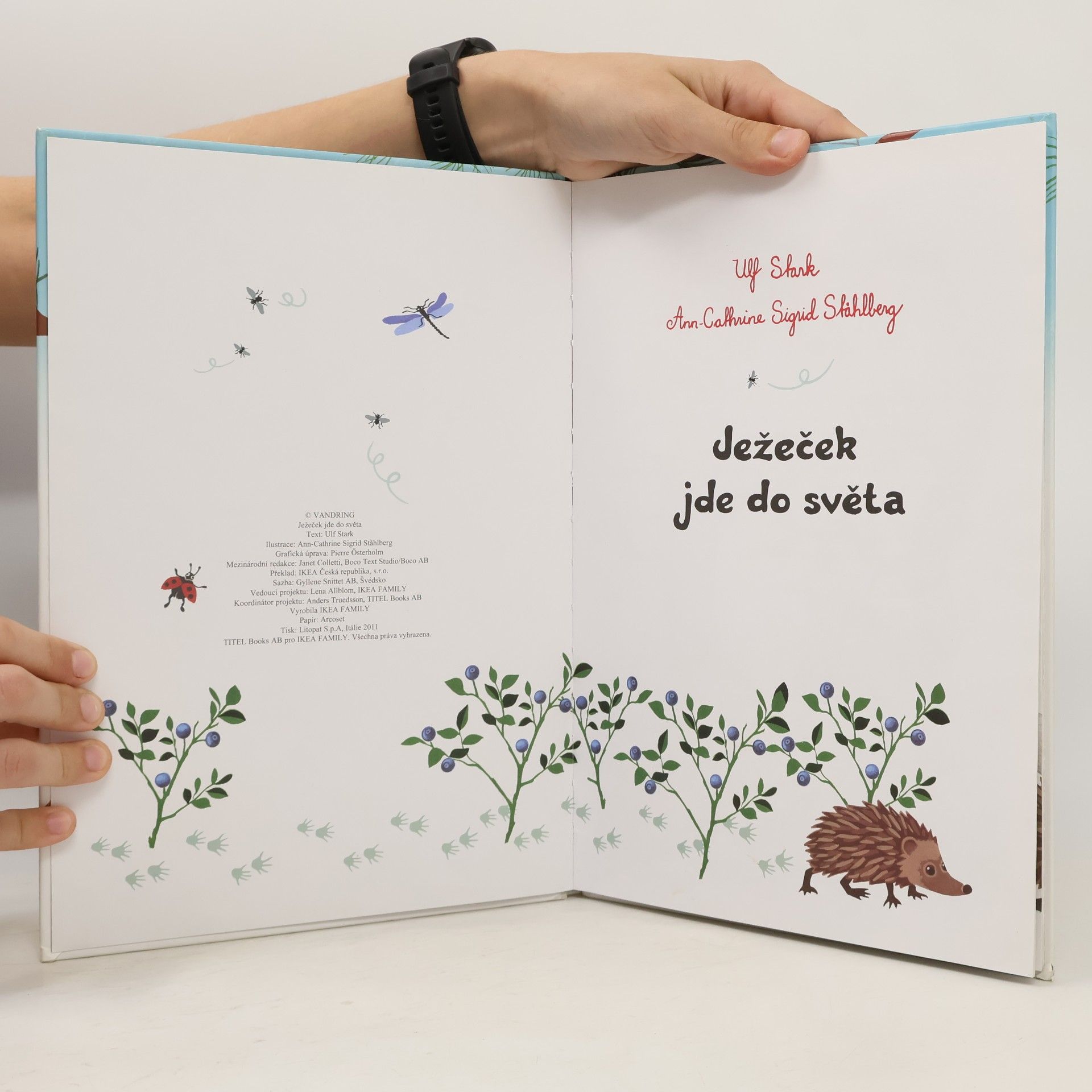 Ulf Stark Ježeček jde do světa