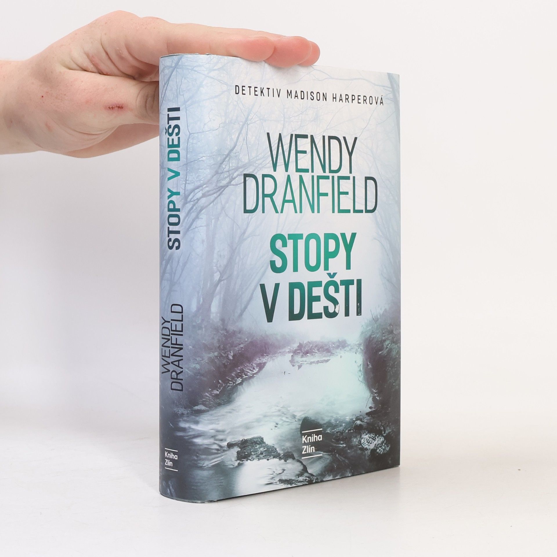 Wendy Dranfield Stopy v dešti
