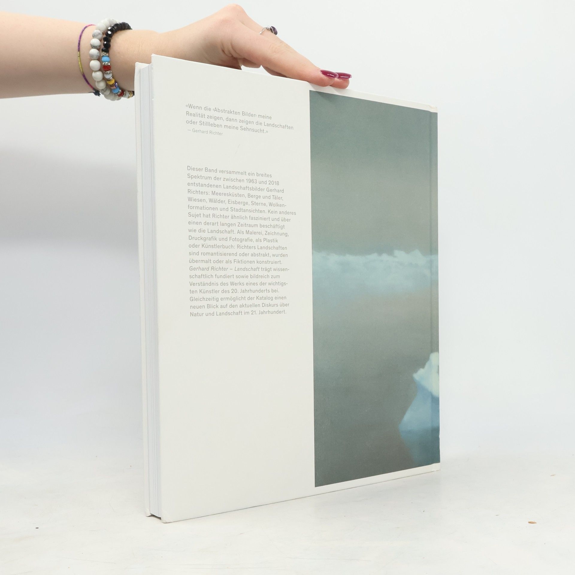 T. J. Demos Gerhard Richter