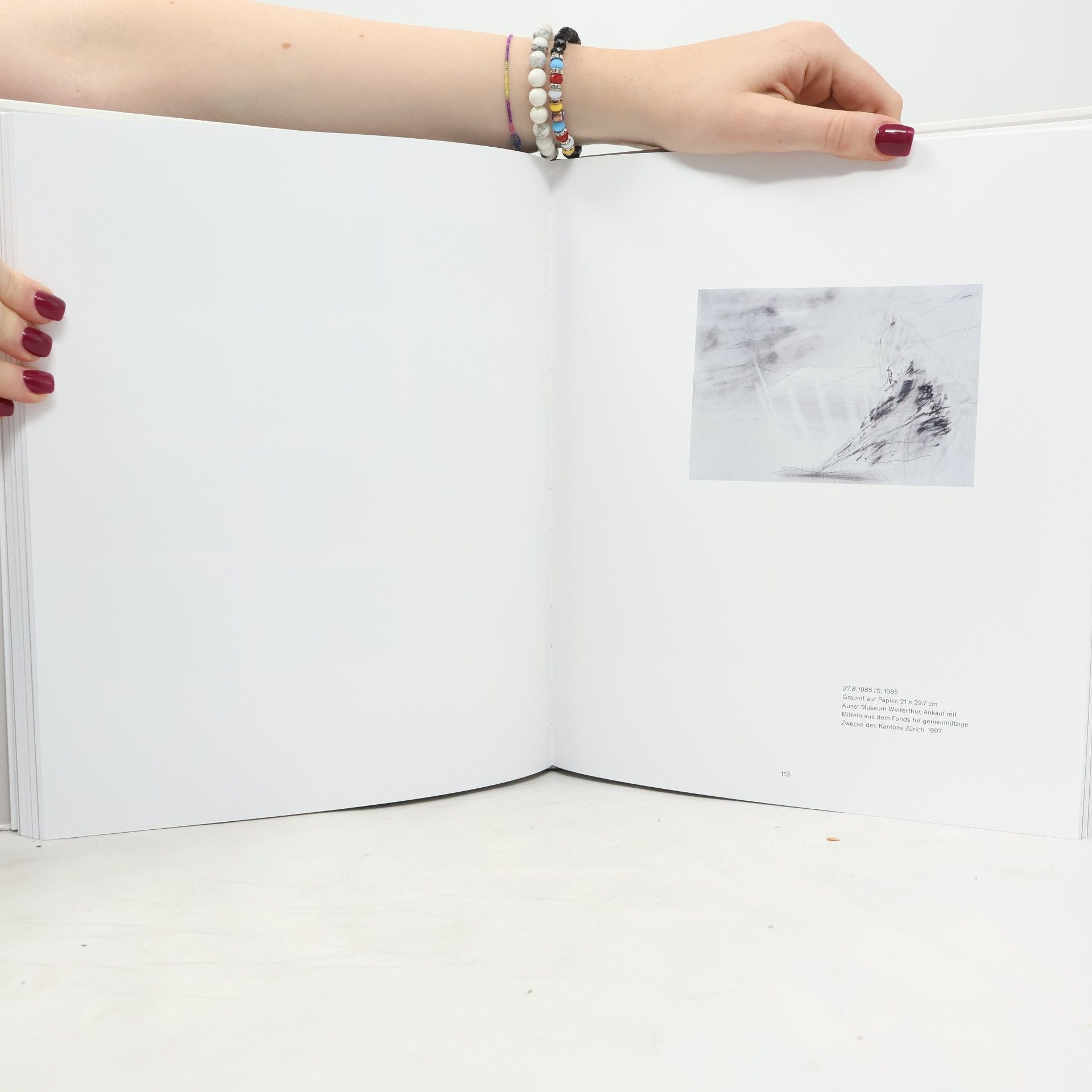 T. J. Demos Gerhard Richter