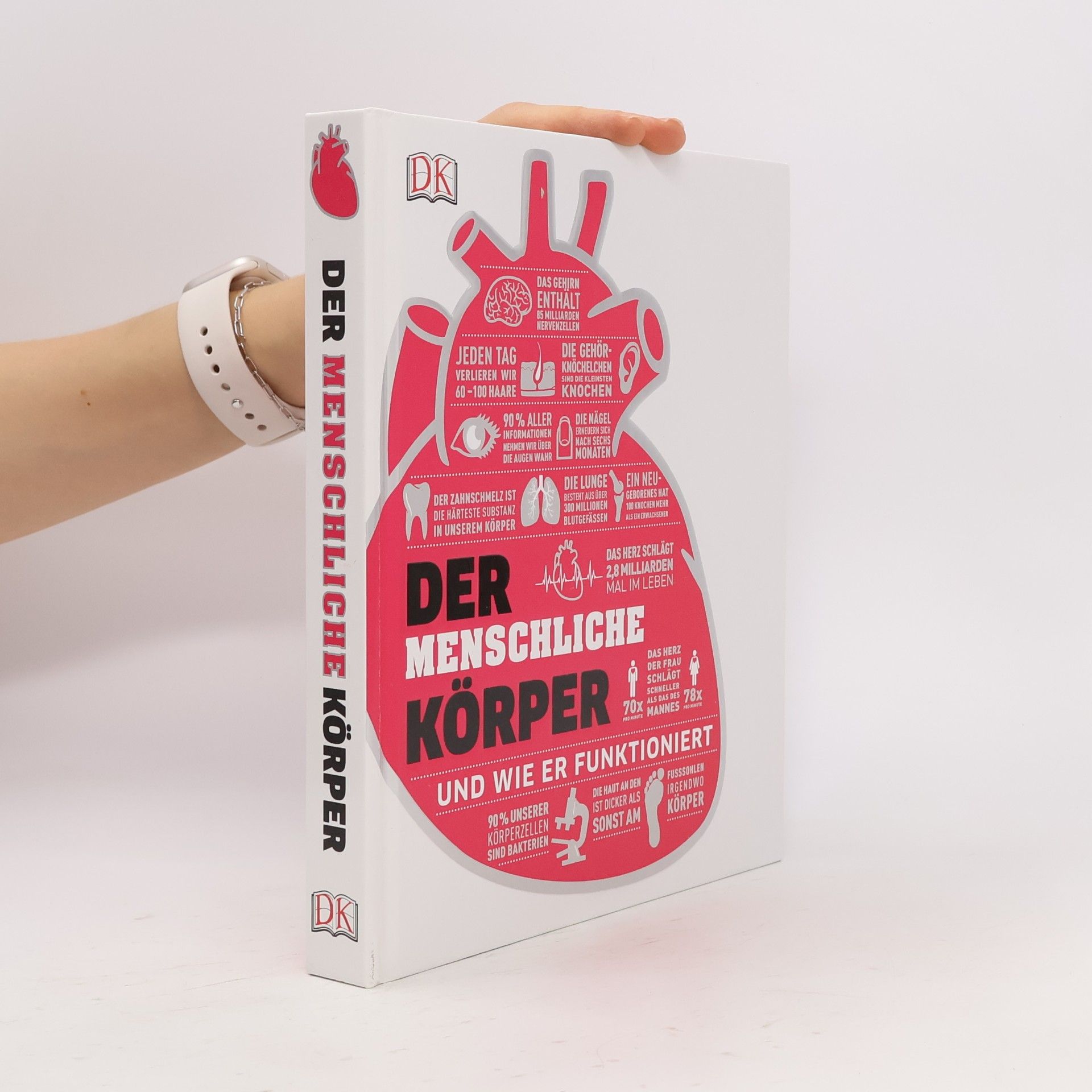 Autorenkollektiv Der menschliche Körper