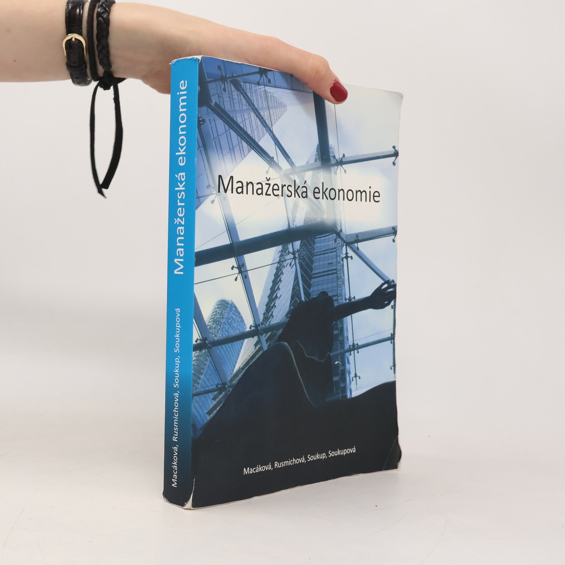 Autorenkollektiv Manažerská ekonomie
