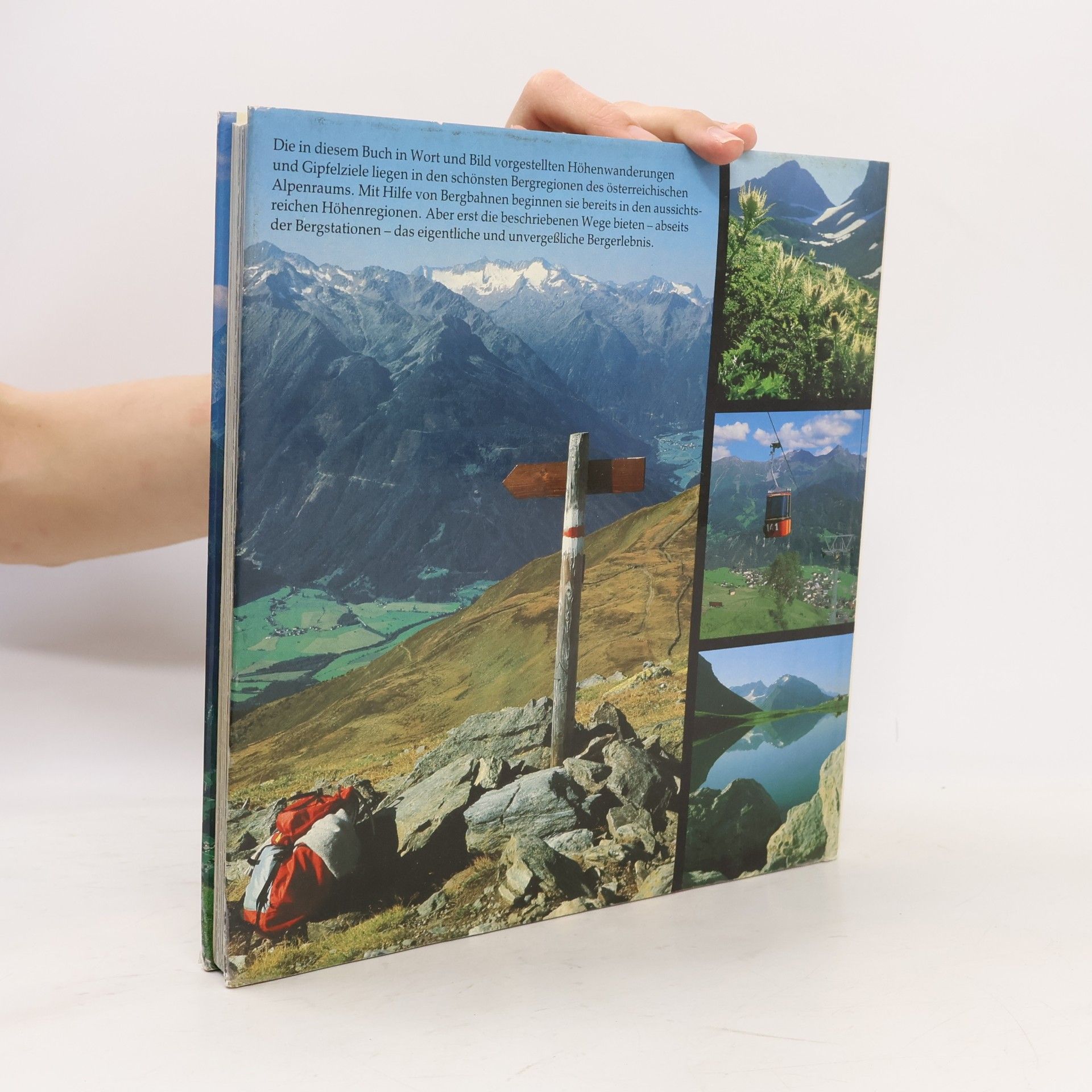 Ernst Höhne Die schönsten Wanderungen mit der Bergbahn in Österreich