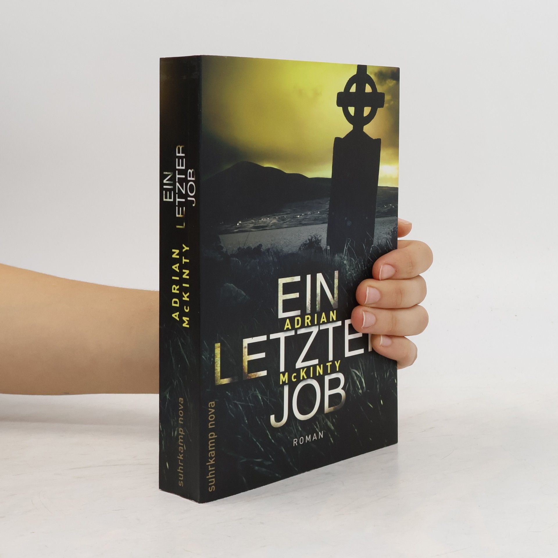 Adrian McKinty Ein letzter Job