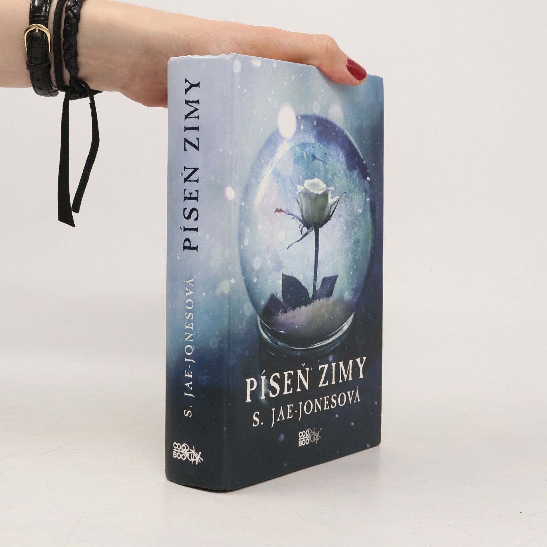 S. Jae-Jones Píseň zimy