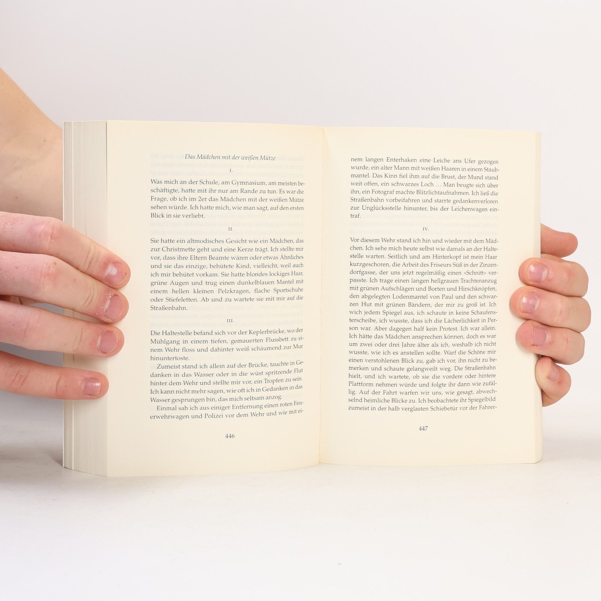 Gerhard Roth Das Alphabet der Zeit