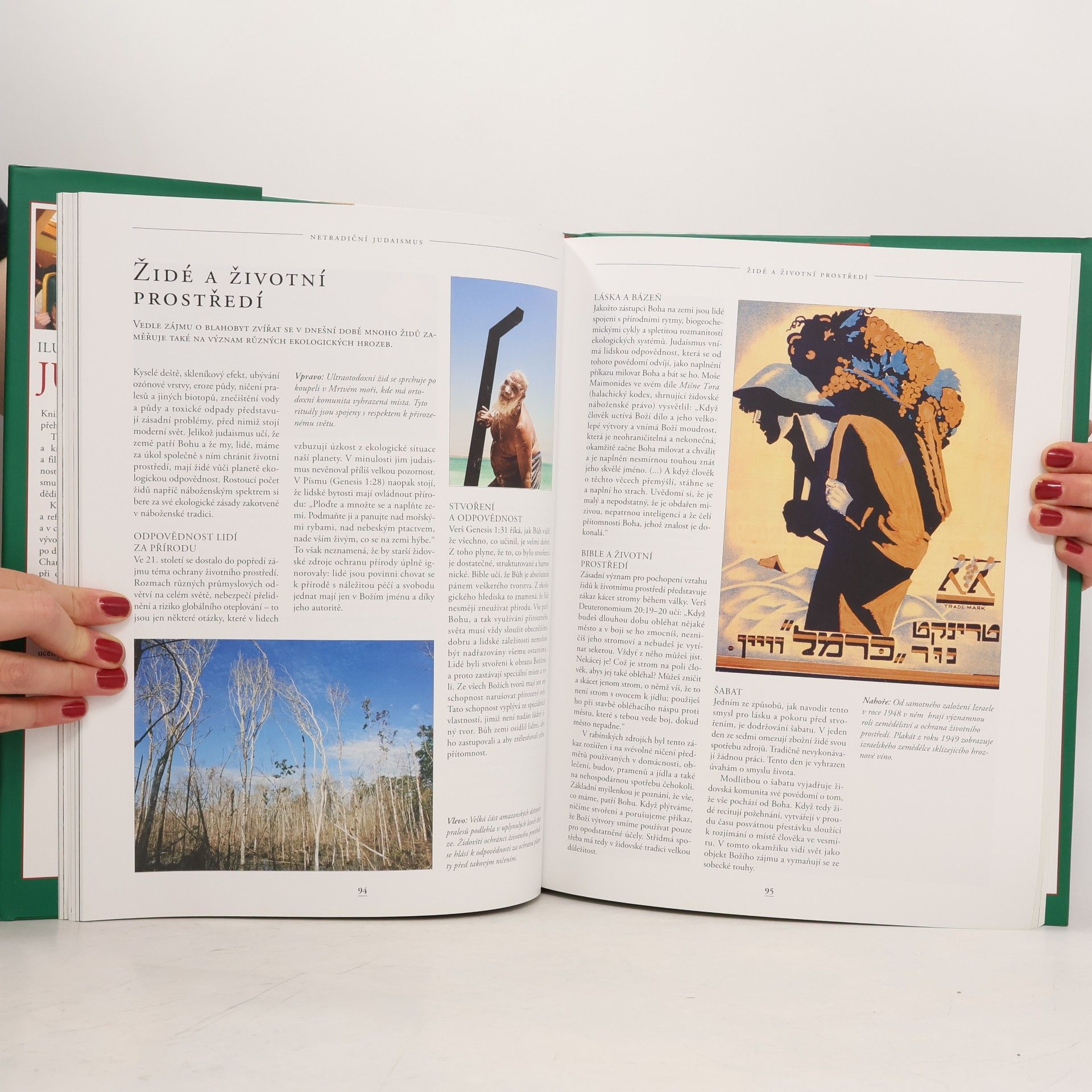 Dan Cohn Sherbok Judaismus