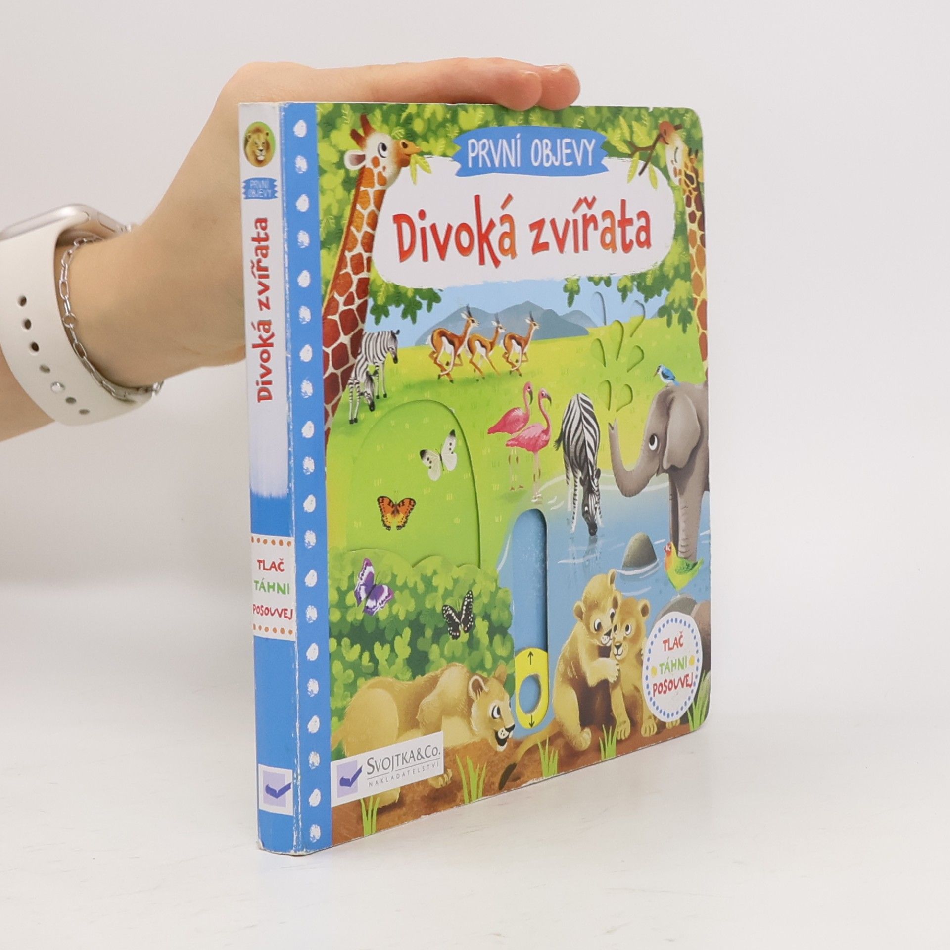 Divoká zvířata