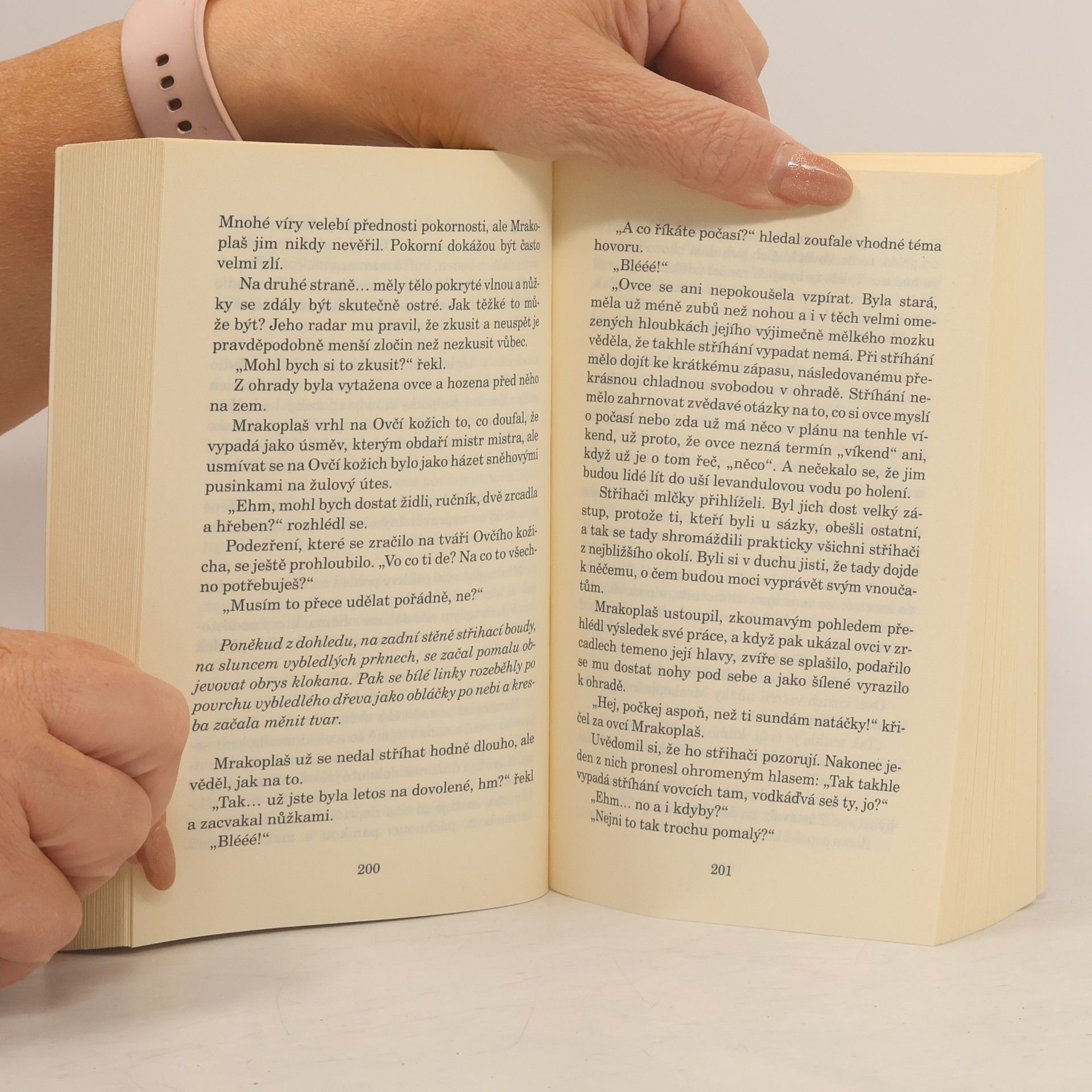 Terry Pratchett Poslední kontinent