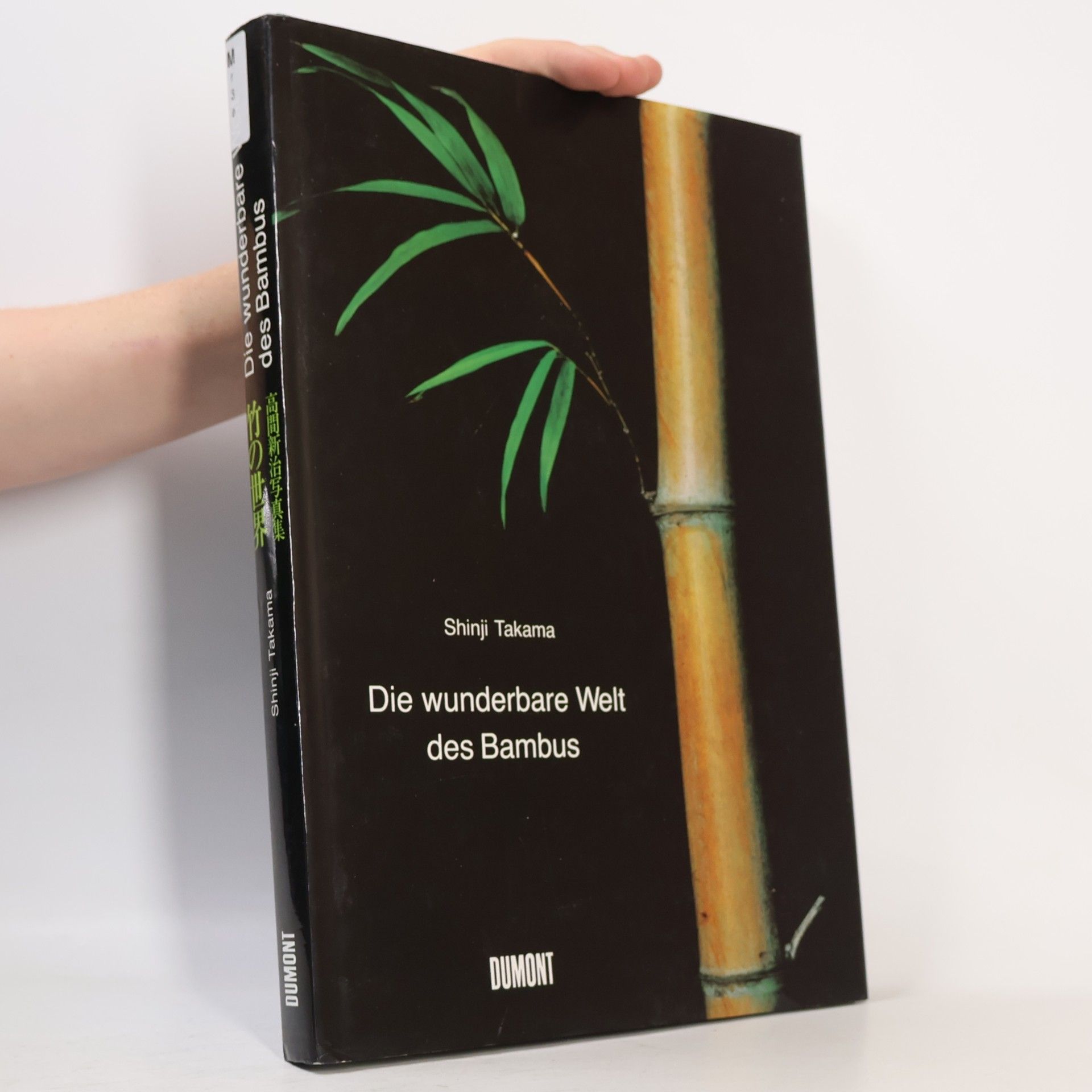 Shinji Takama Die wunderbare Welt des Bambus