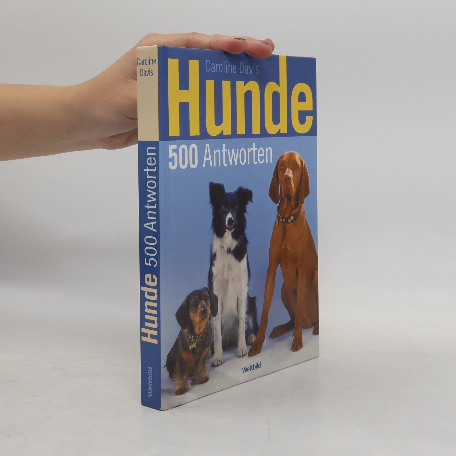 Caroline Davis Hunde