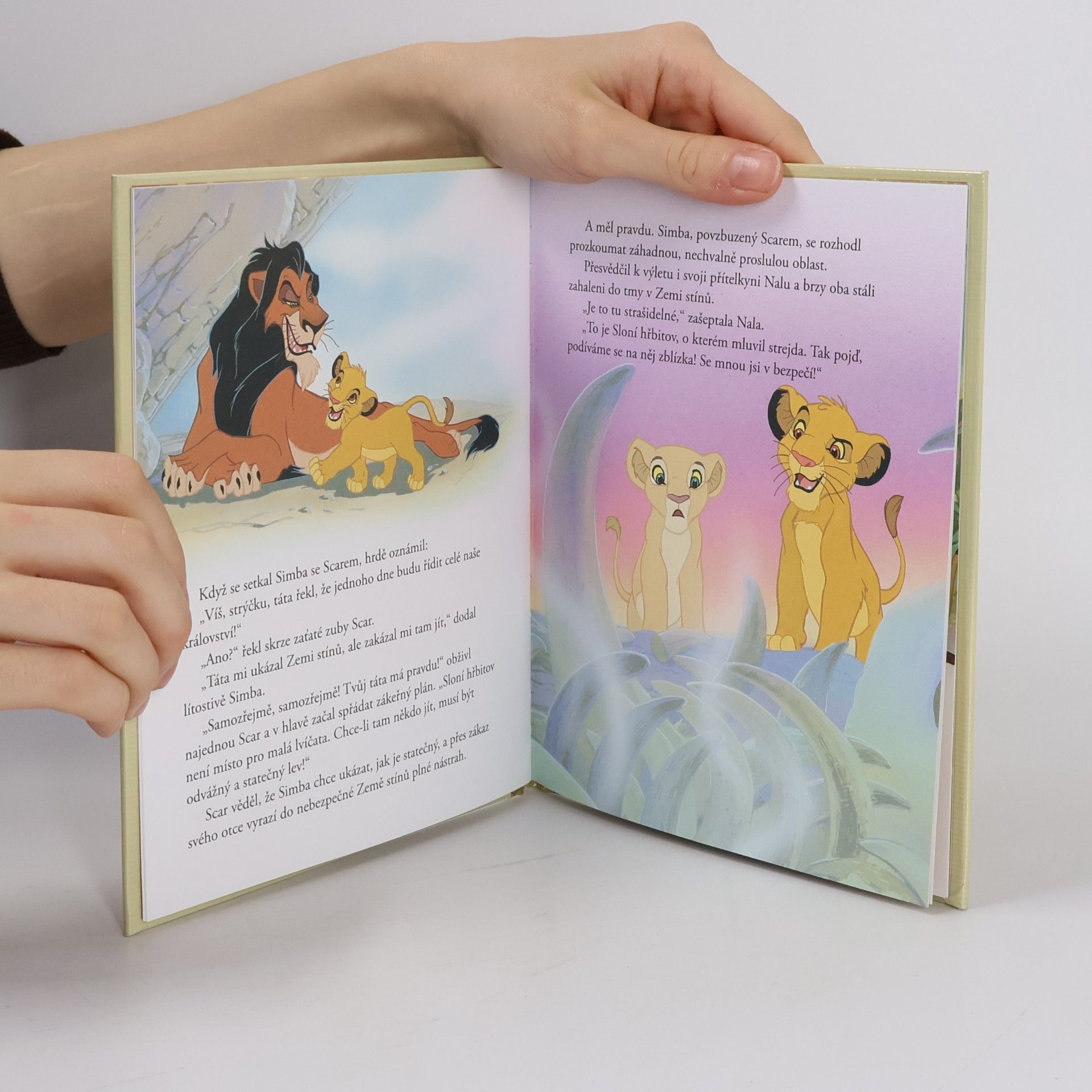 Autores varios Zlatá sbírka pohádek 1. Lví král