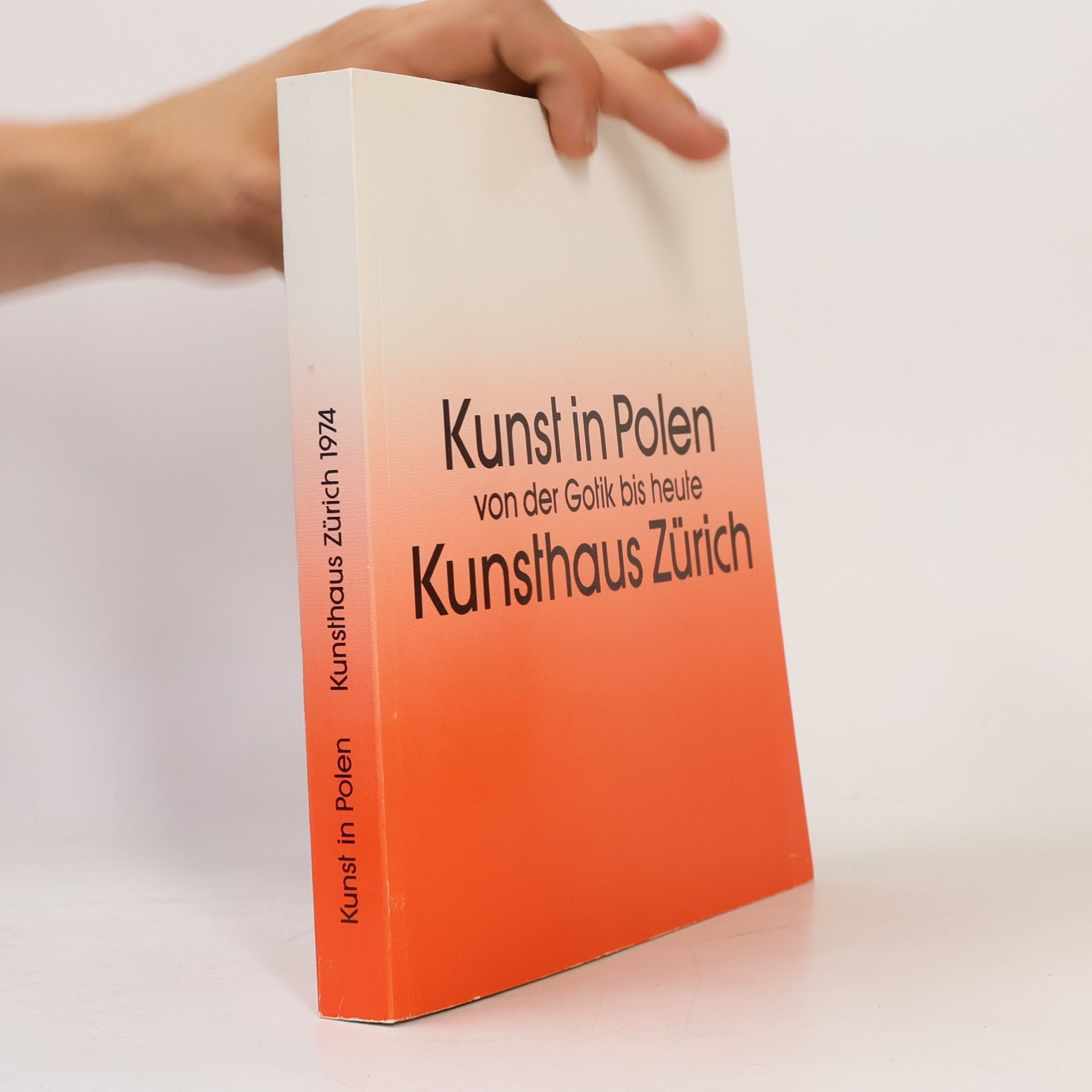 Kolektiv autorů Kunst in Polen von der Gotik bis heute