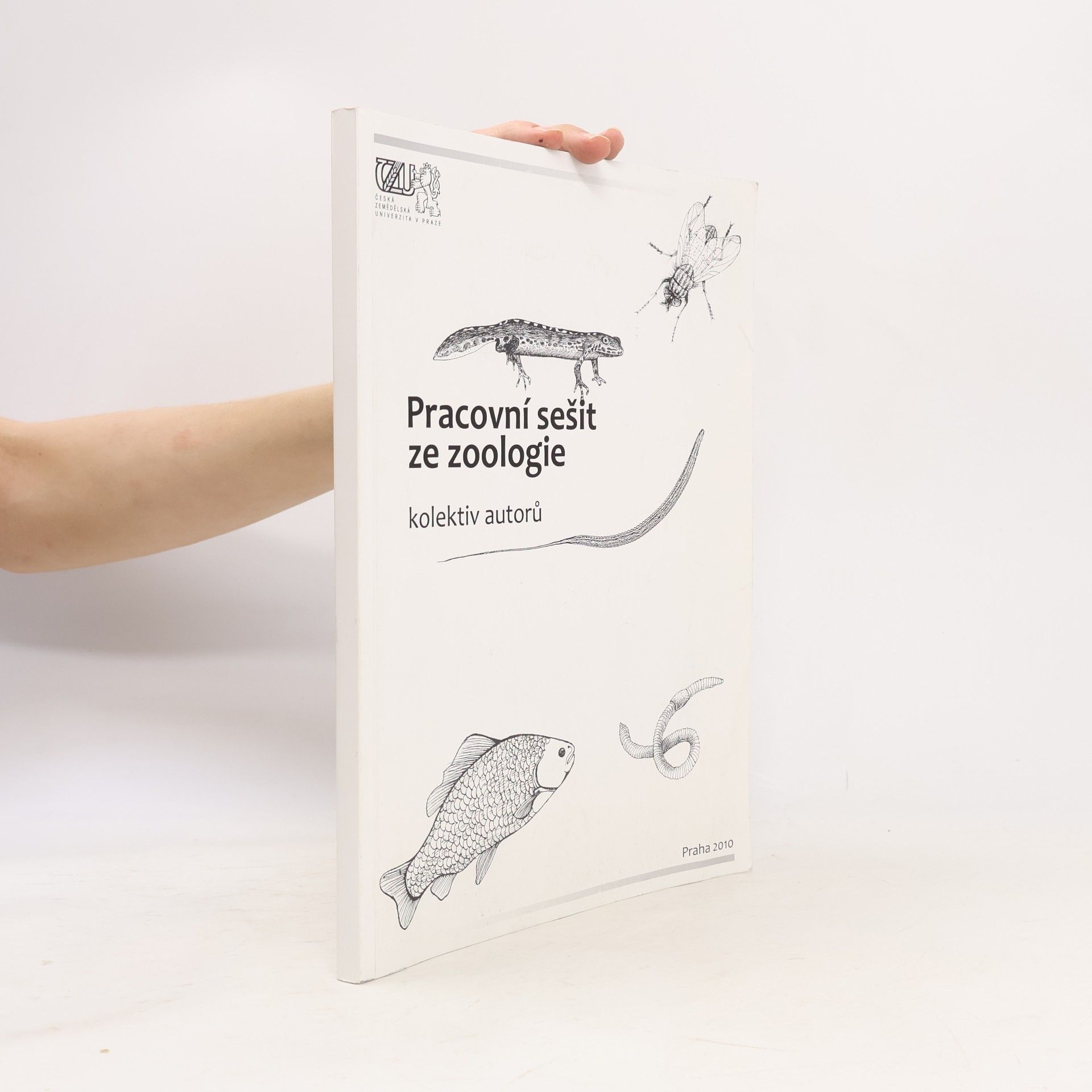 kolektiv Pracovní sešit ze zoologie