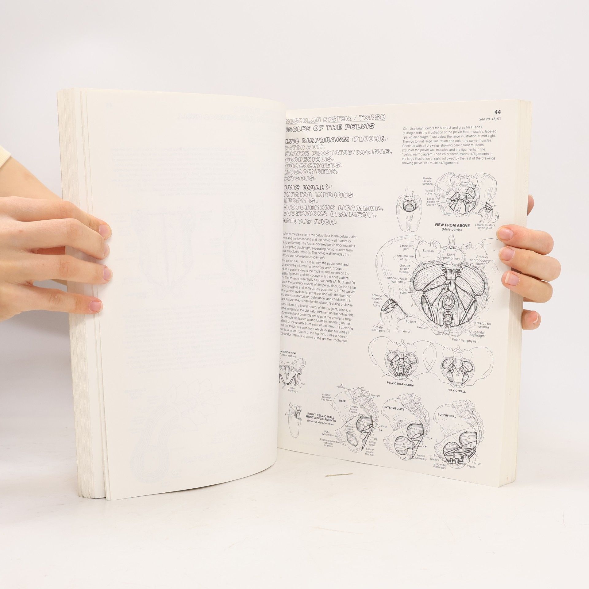 Wynn Kapit The anatomy coloring book
