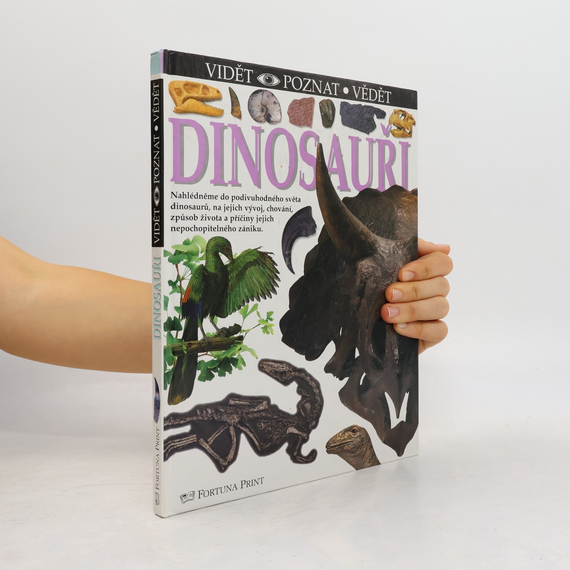 Angela Milner Vidět, poznat, vědět. Dinosauři
