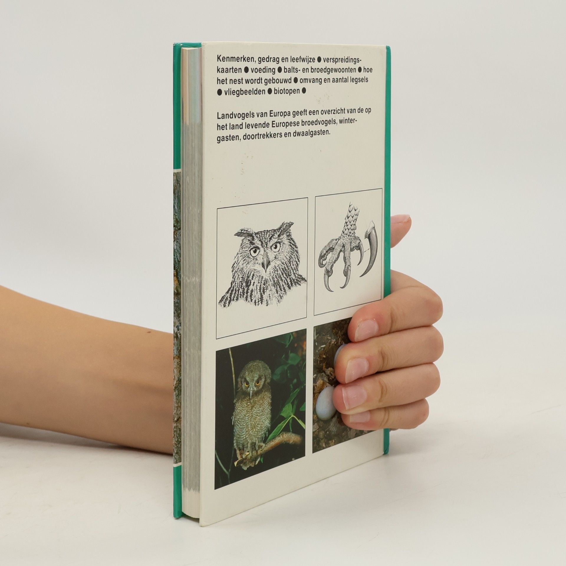 F. Sauer Landvogels van Europa