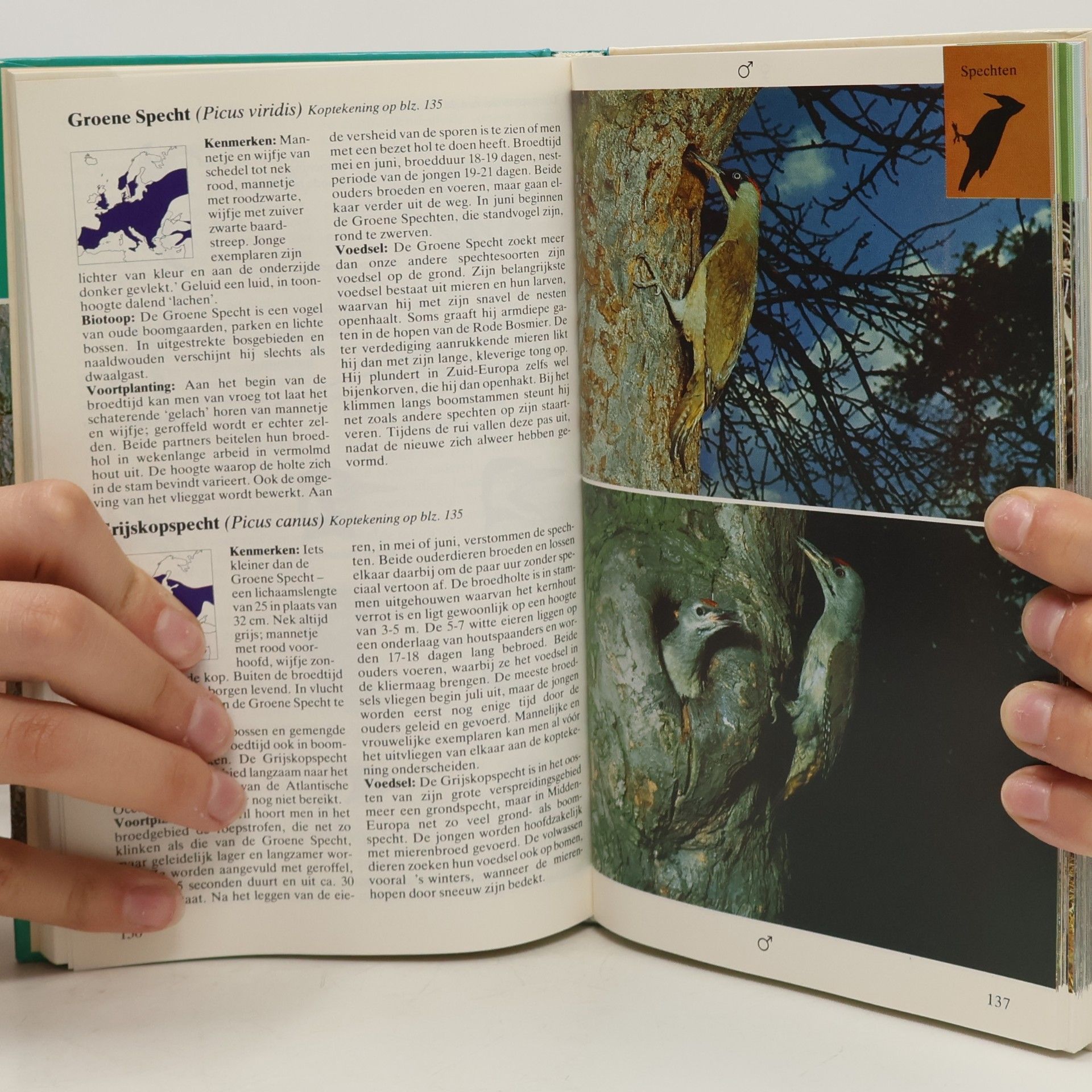 F. Sauer Landvogels van Europa