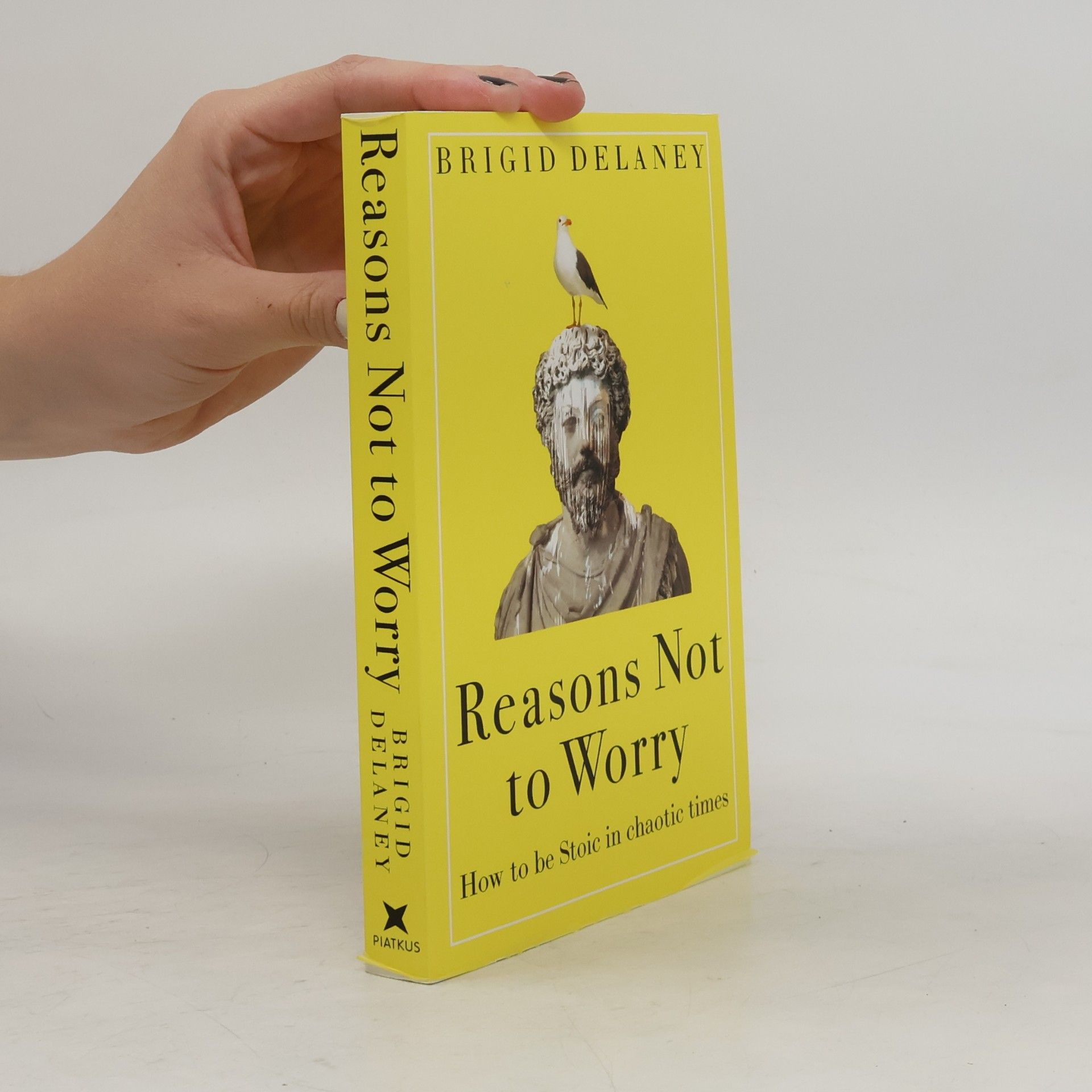 Brigid Delaney Reasons Not to Worry