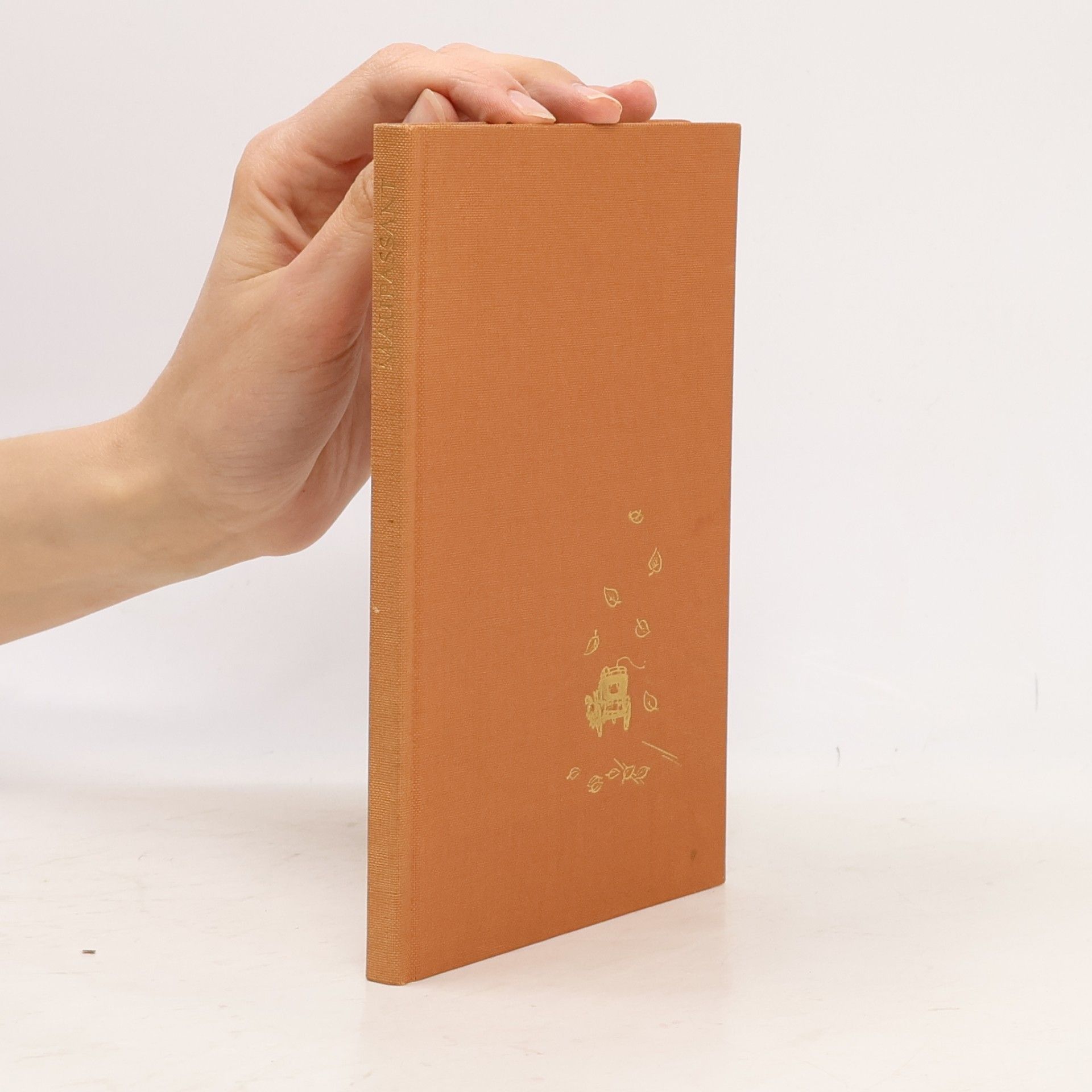 Guy de Maupassant Hochzeitsreise und andere Novellen