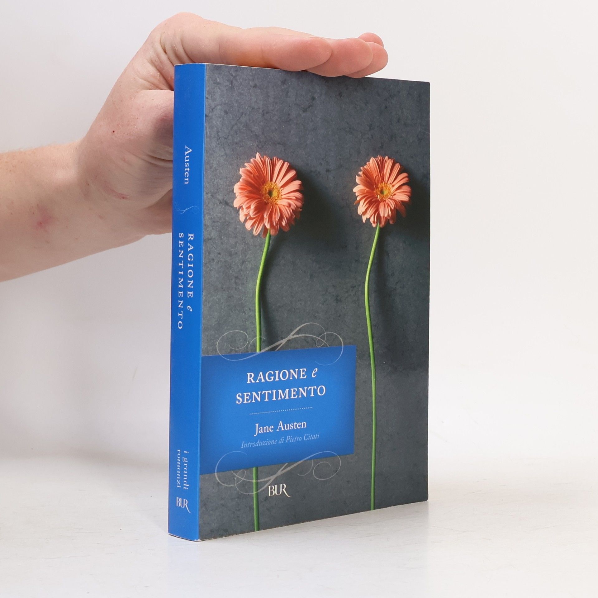 Jane Austen Ragione e sentimento