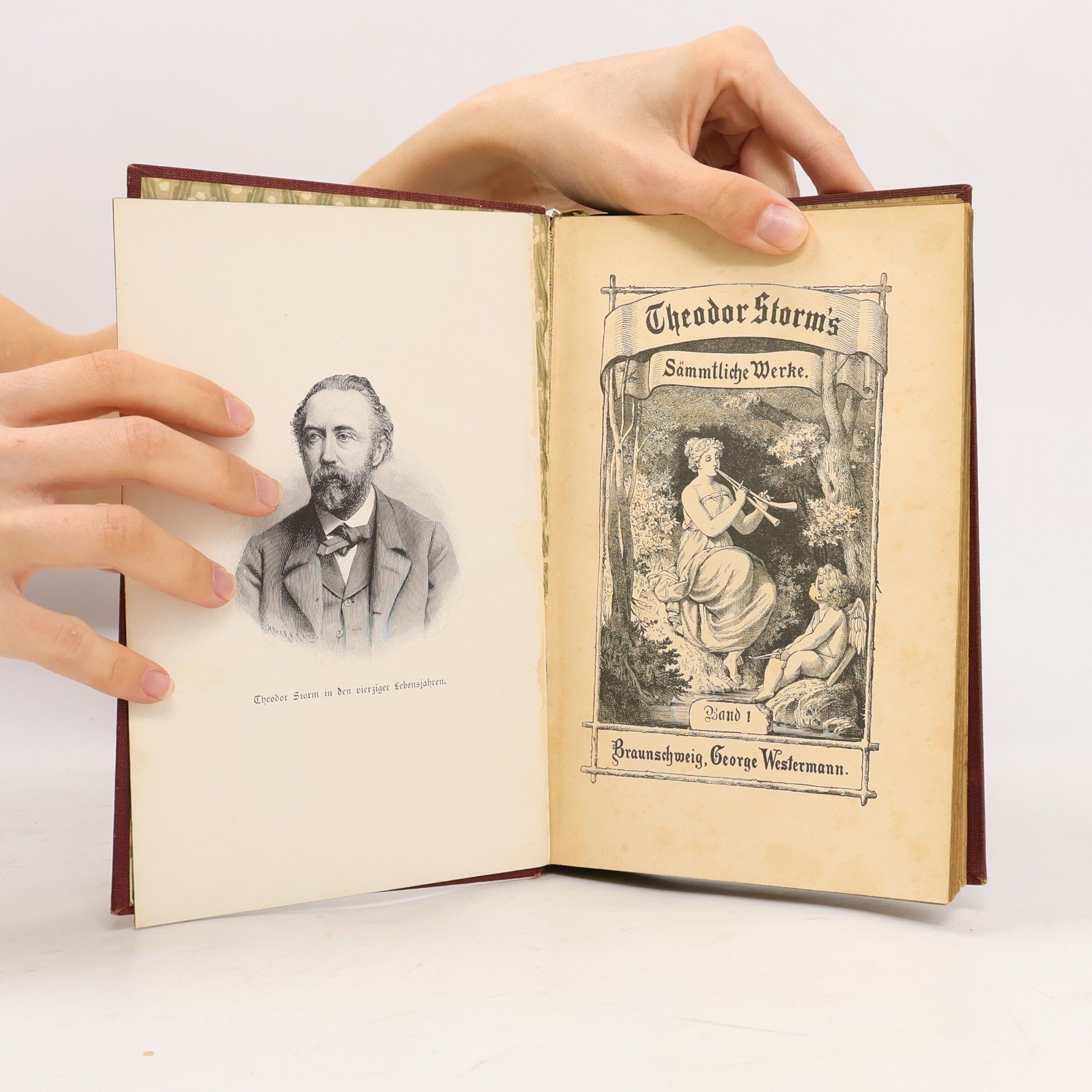 Theodor Storm Sämmtliche Werke 1