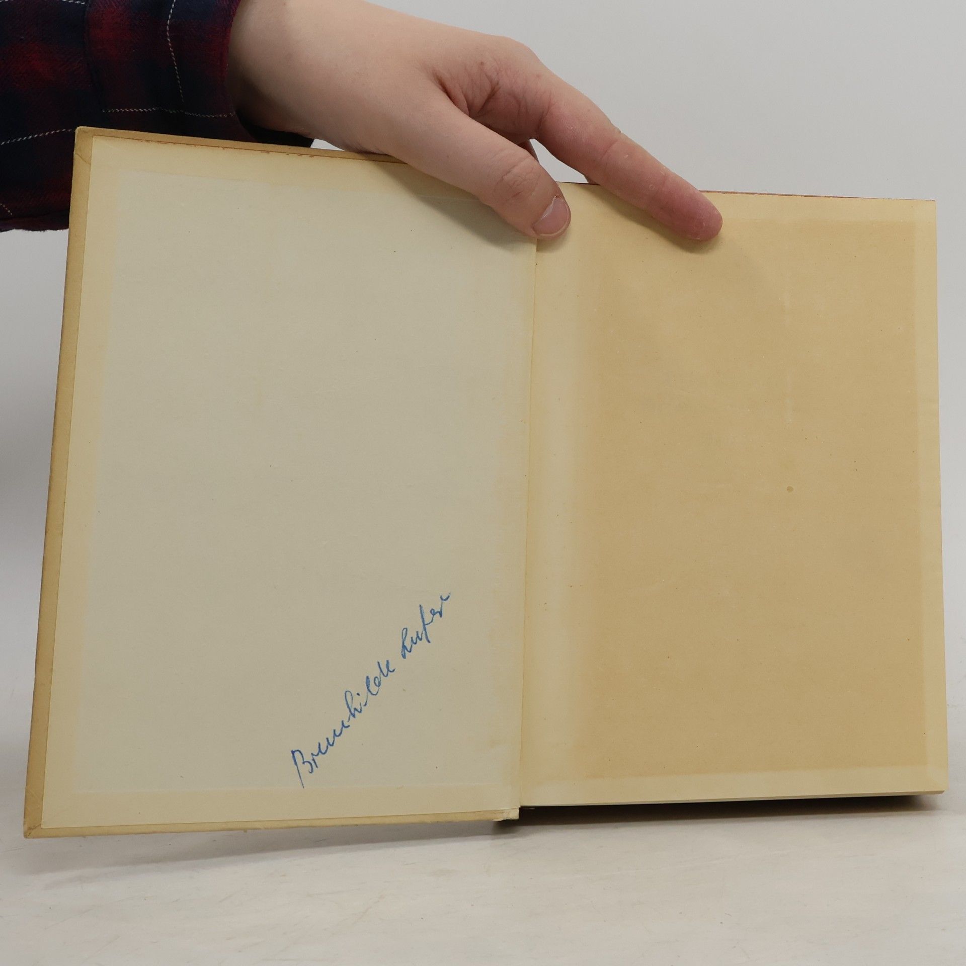 Lily Braun Gesammelte Werke 2