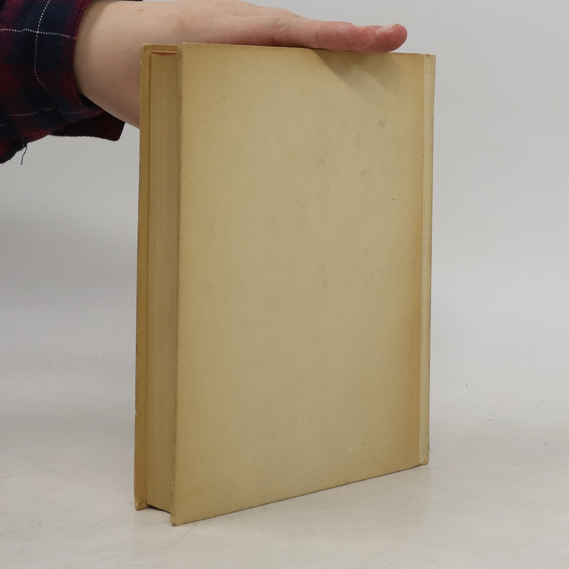 Lily Braun Gesammelte Werke 2